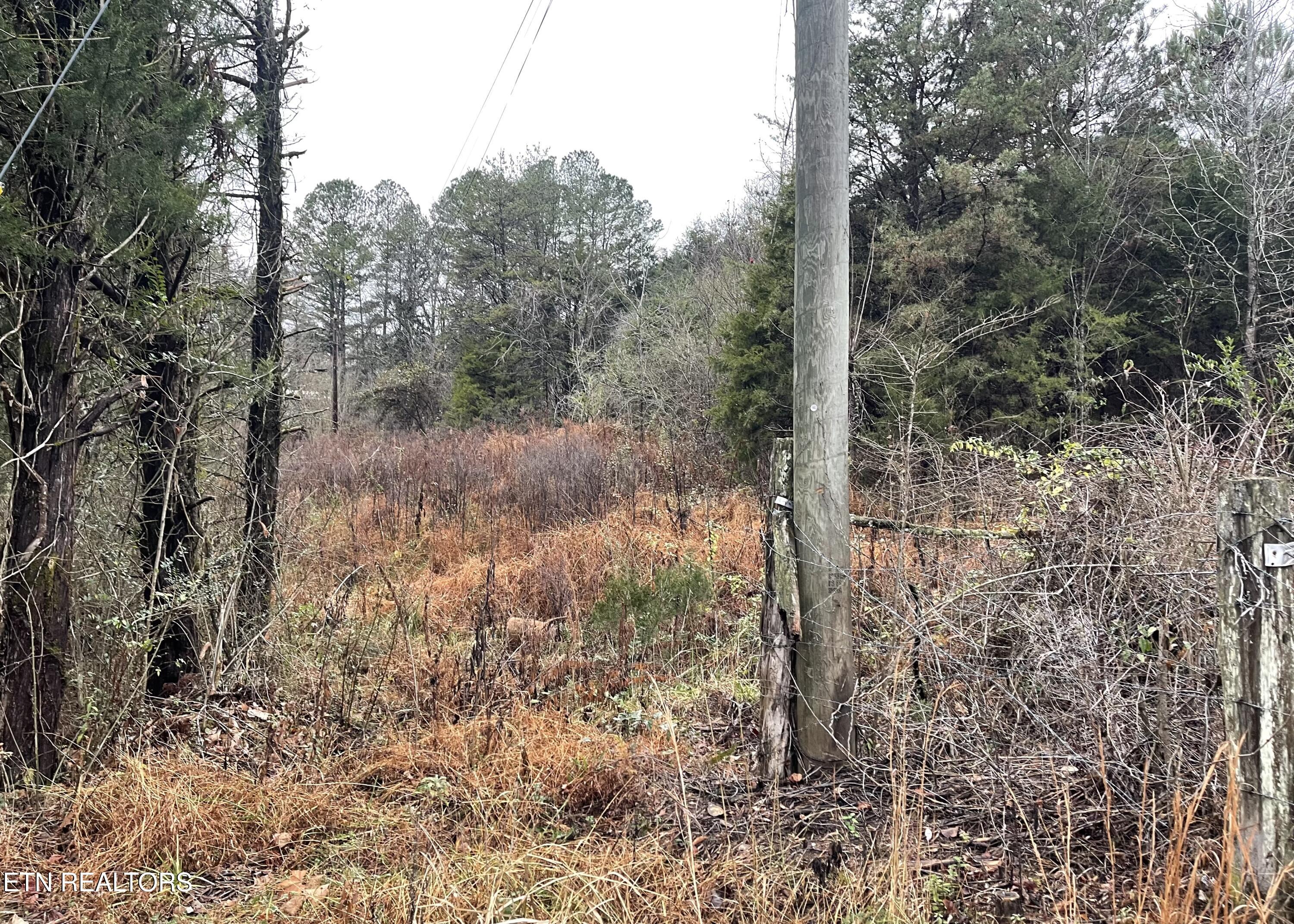 Reagan Valley Road Tellico Plains TN 37385