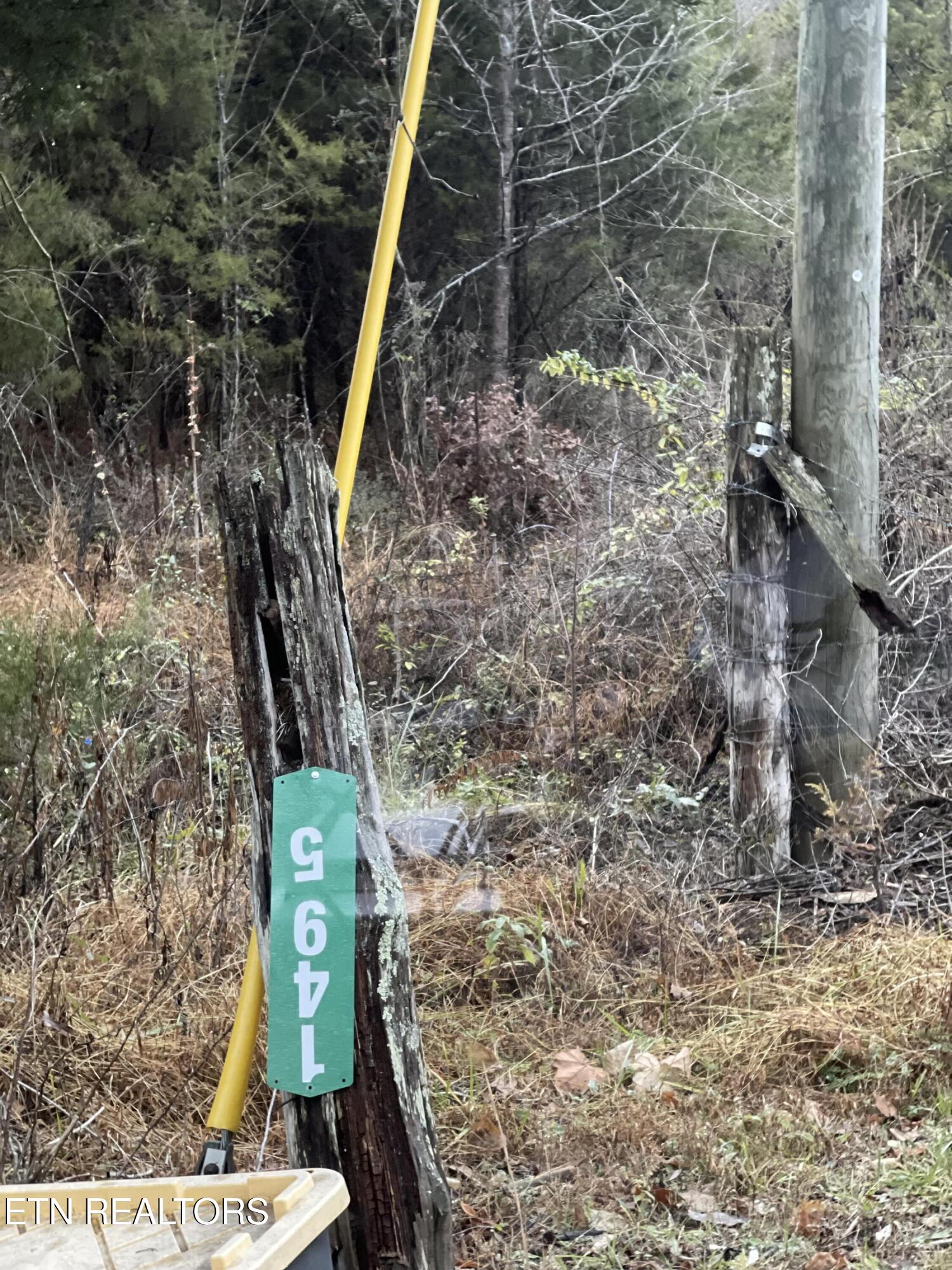 Reagan Valley Road Tellico Plains TN 37385
