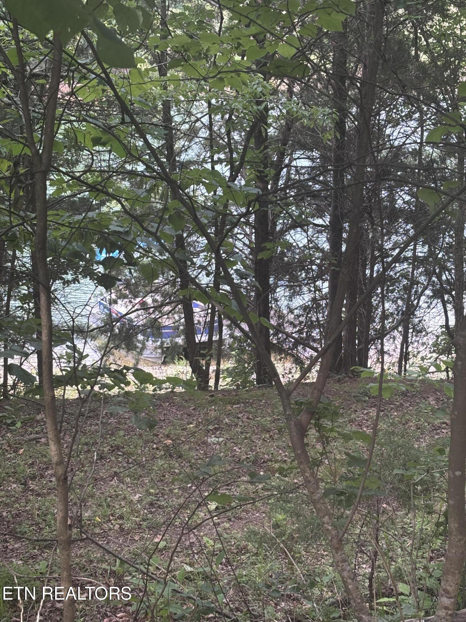 2327 Boat Dock Road Talbott TN 37877