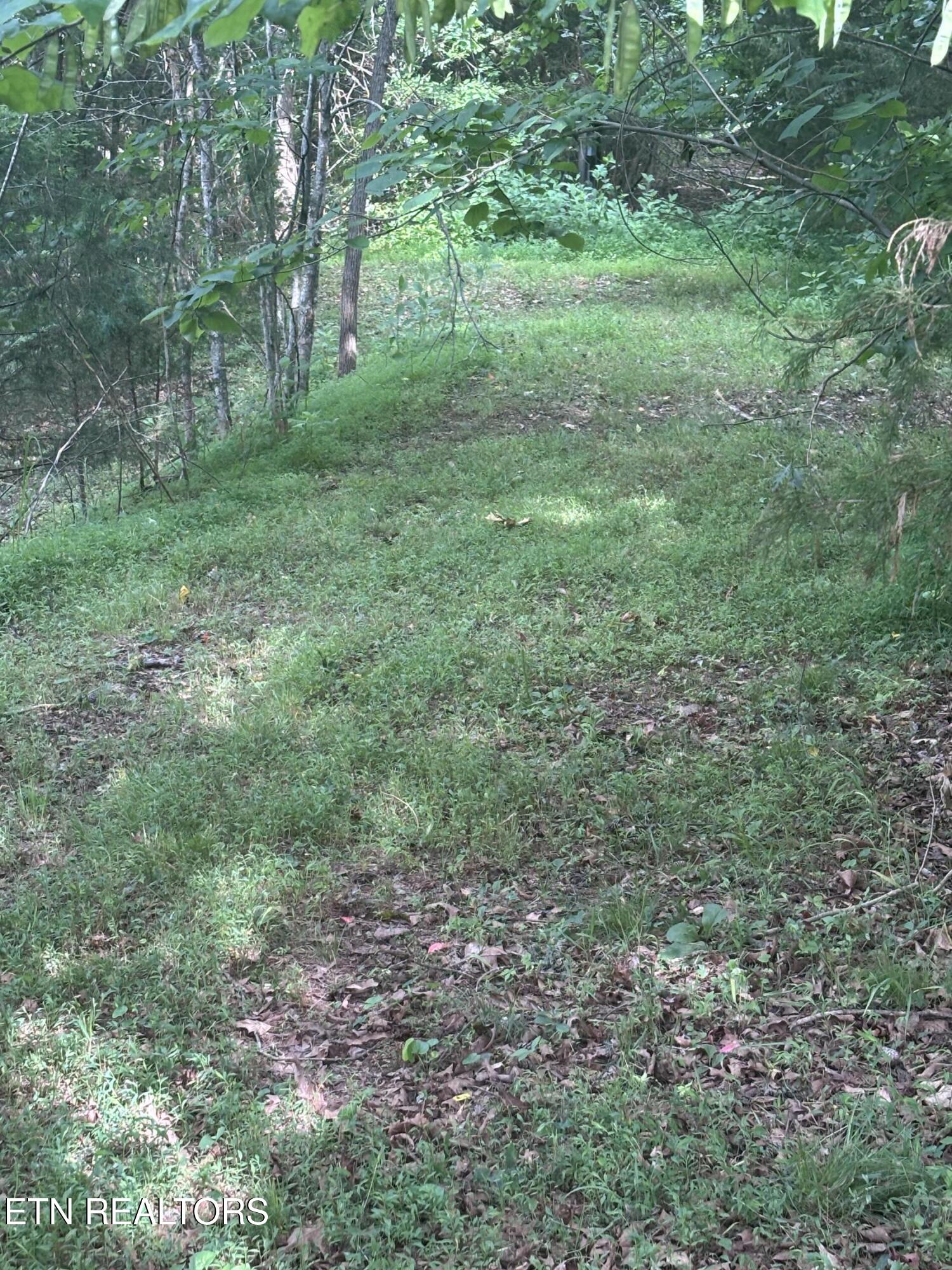 2327 Boat Dock Road Talbott TN 37877