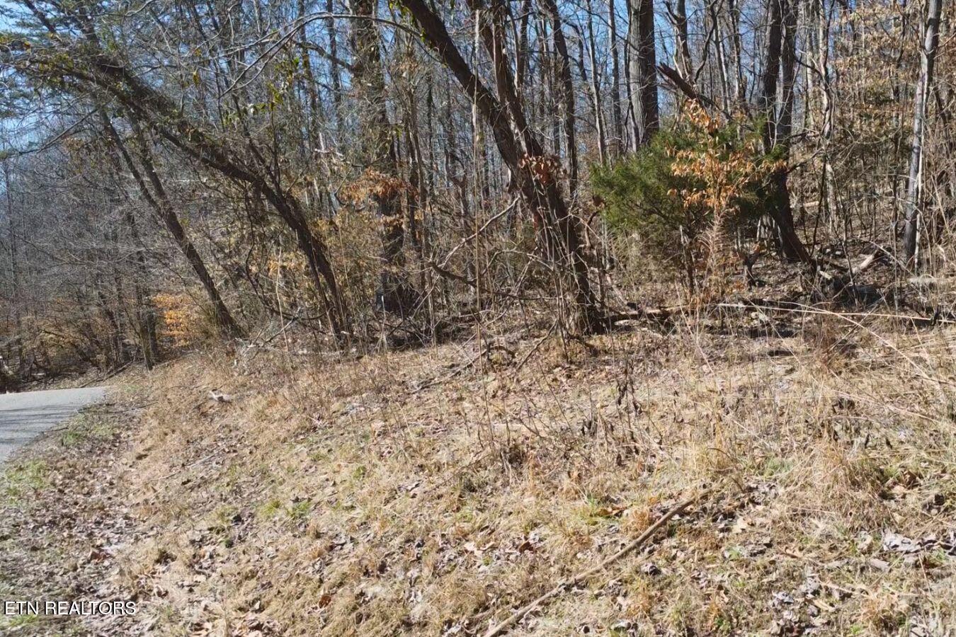 Lot 227 Auxier Drive Jacksboro TN 37757