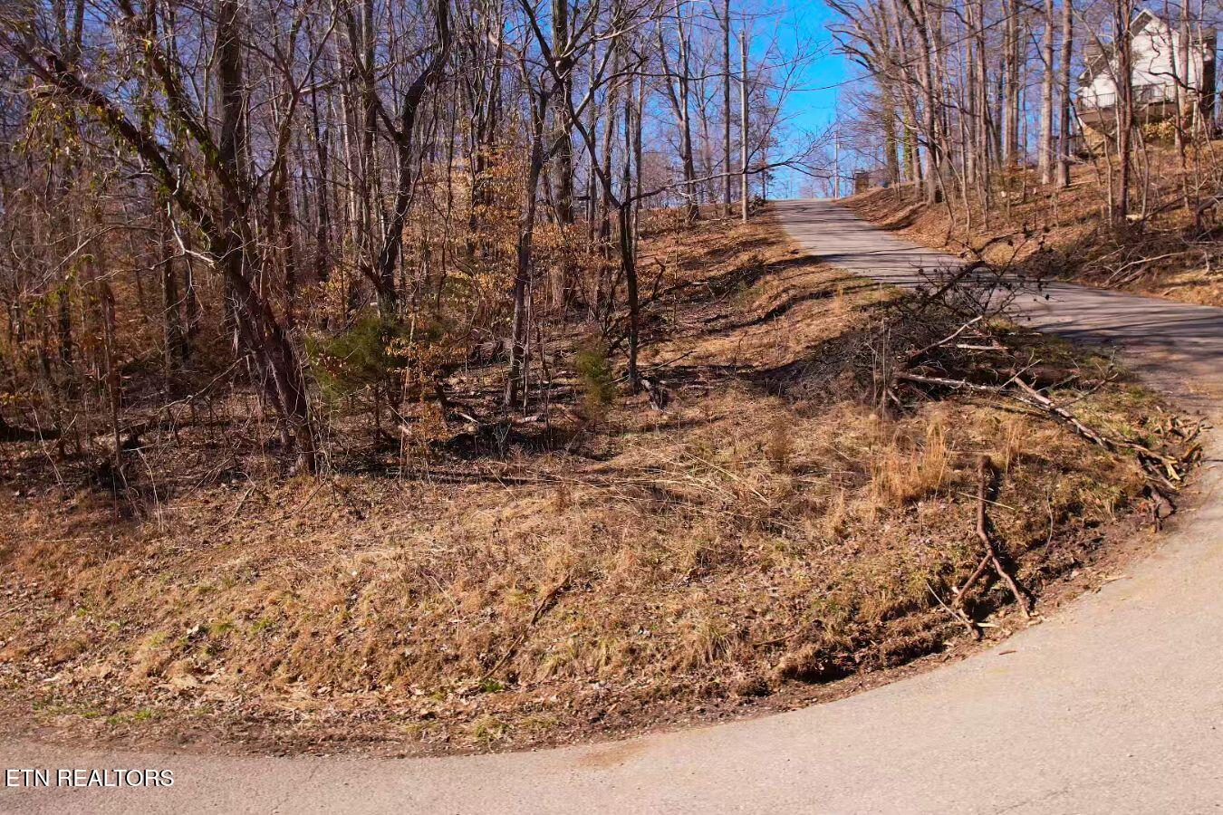 Lot 227 Auxier Drive Jacksboro TN 37757