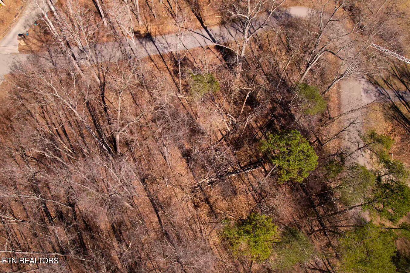 Lot 227 Auxier Drive Jacksboro TN 37757