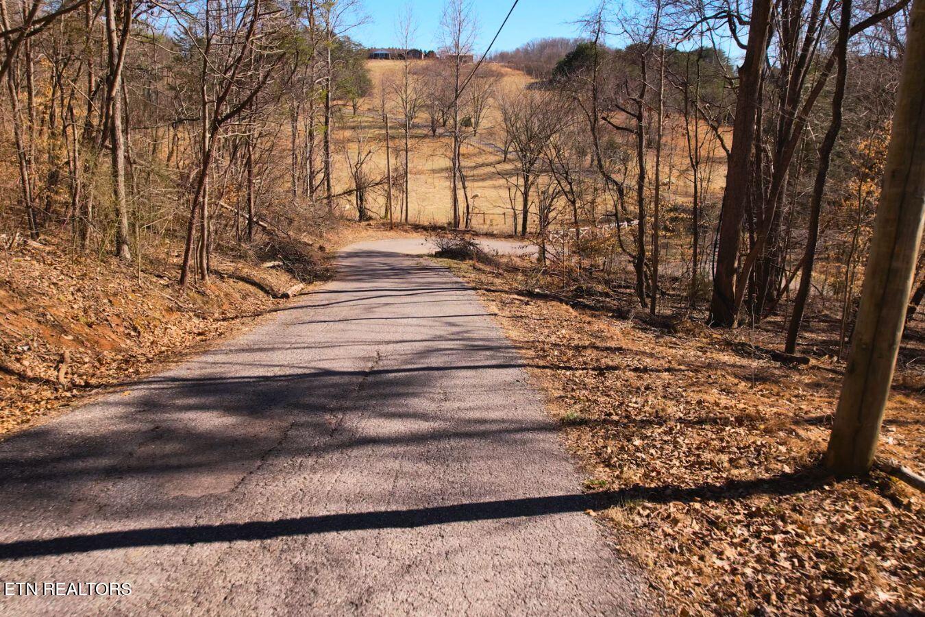 Lot 227 Auxier Drive Jacksboro TN 37757
