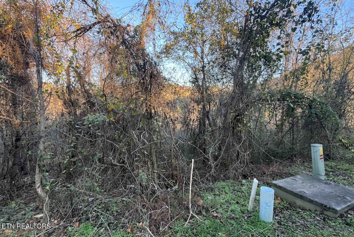Magnolia Lane Lot 488 Sharps Chapel TN 37866