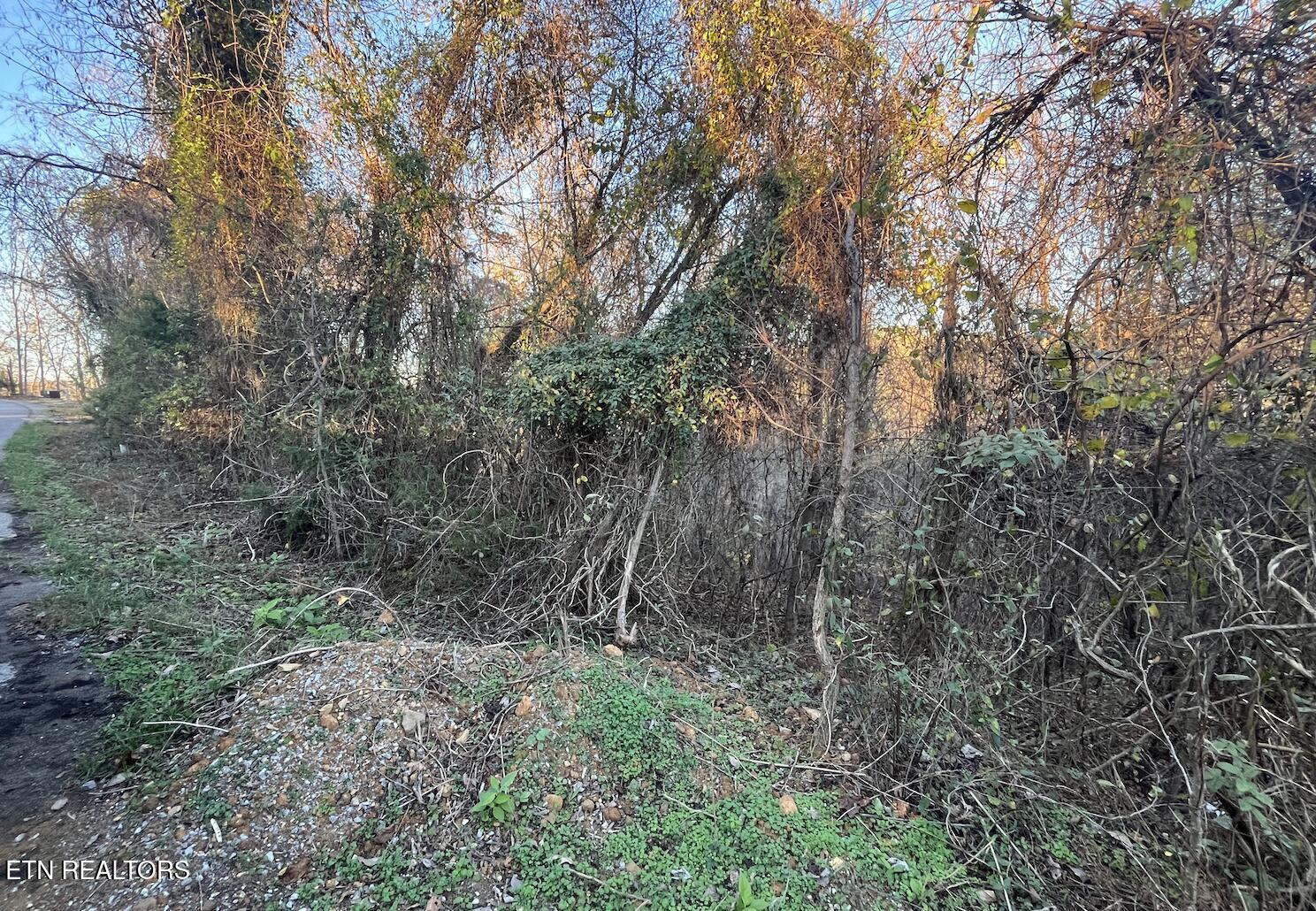 Magnolia Lane Lot 488 Sharps Chapel TN 37866