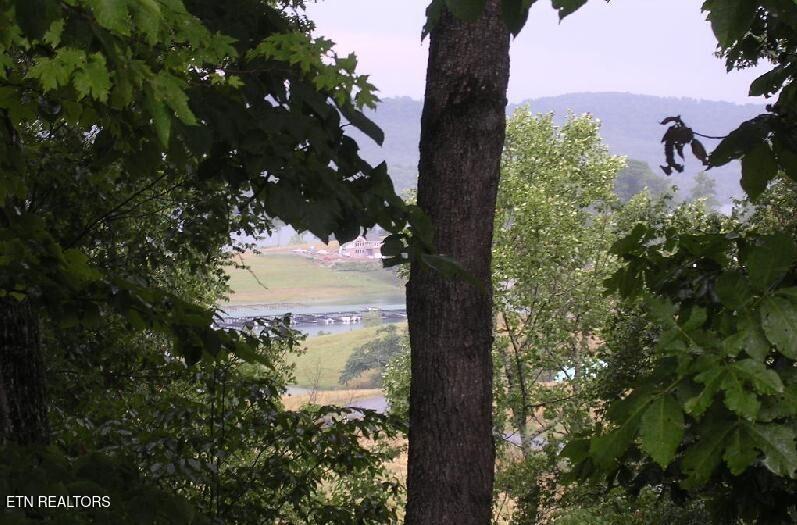 Magnolia Lane Lot 488 Sharps Chapel TN 37866