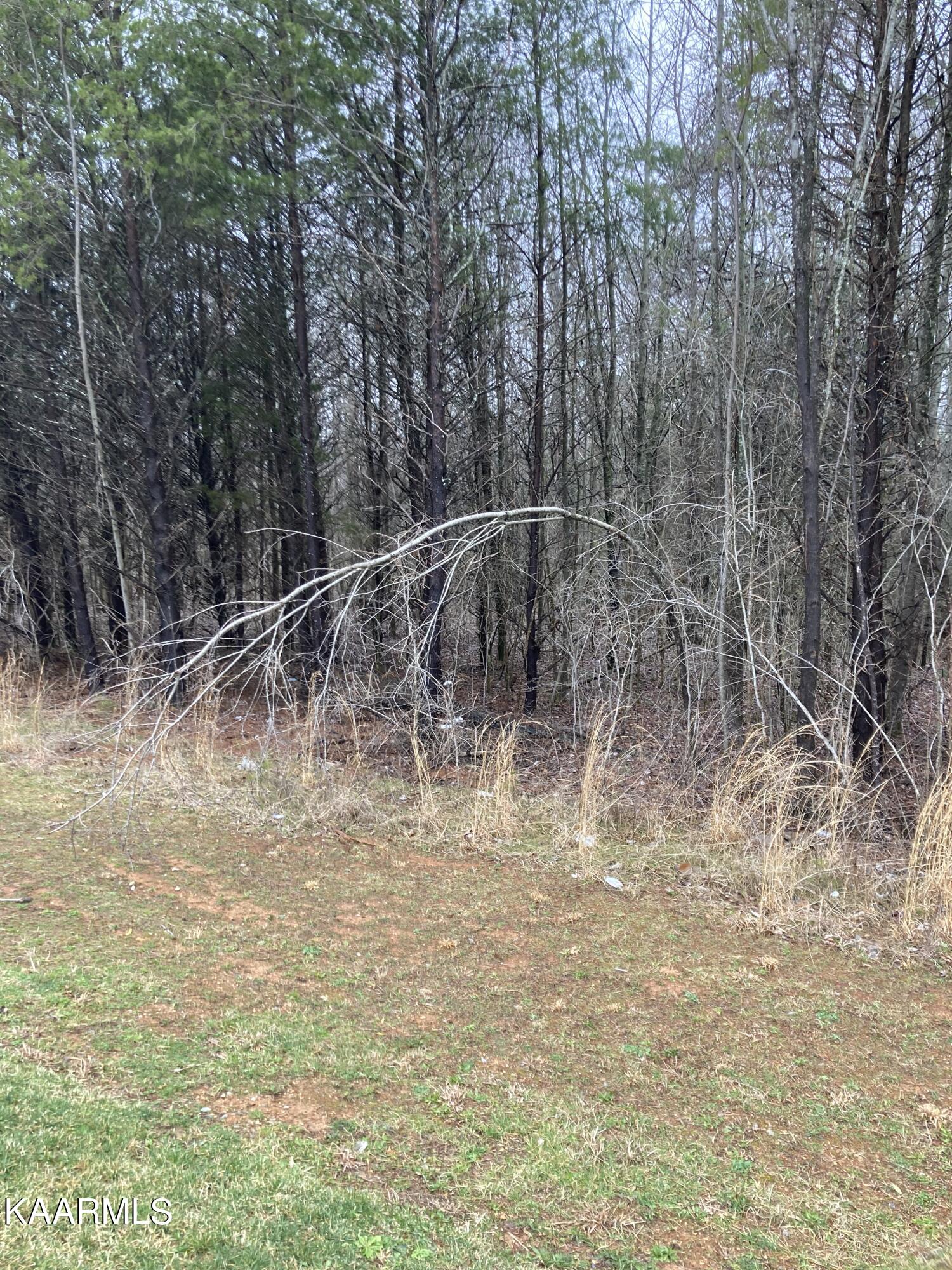 Highway 68 Madisonville TN 37354