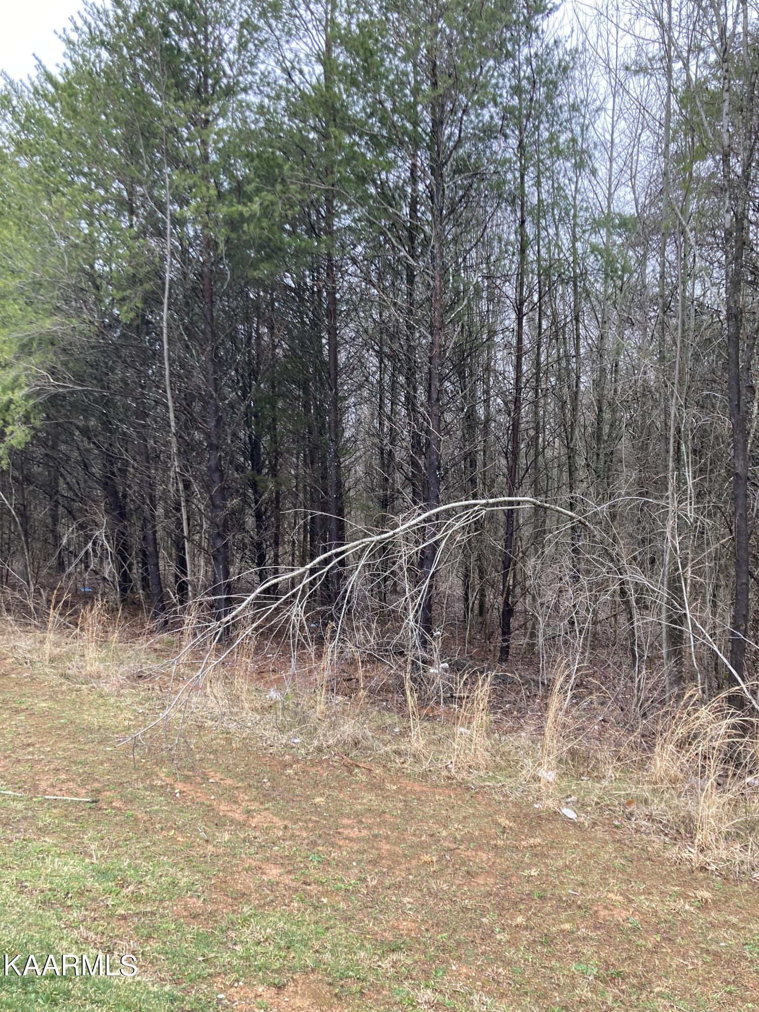 Highway 68 Madisonville TN 37354