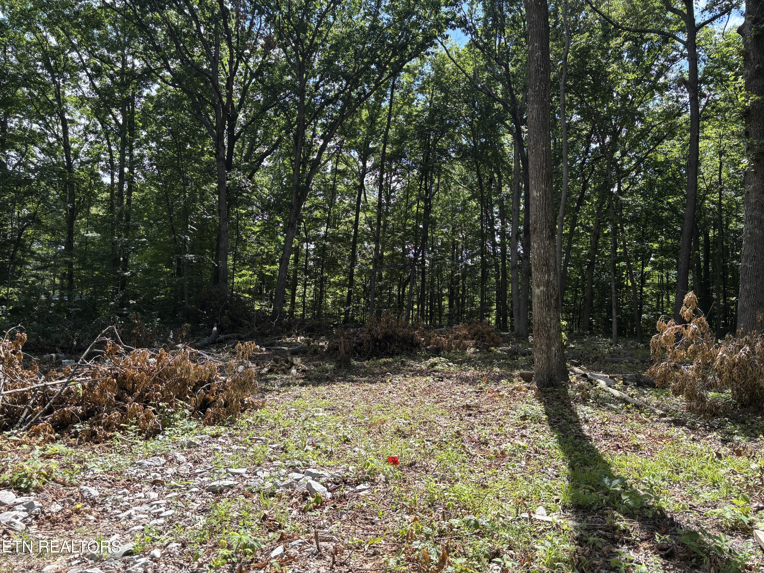 282 Morgan Circle Crossville TN 38572