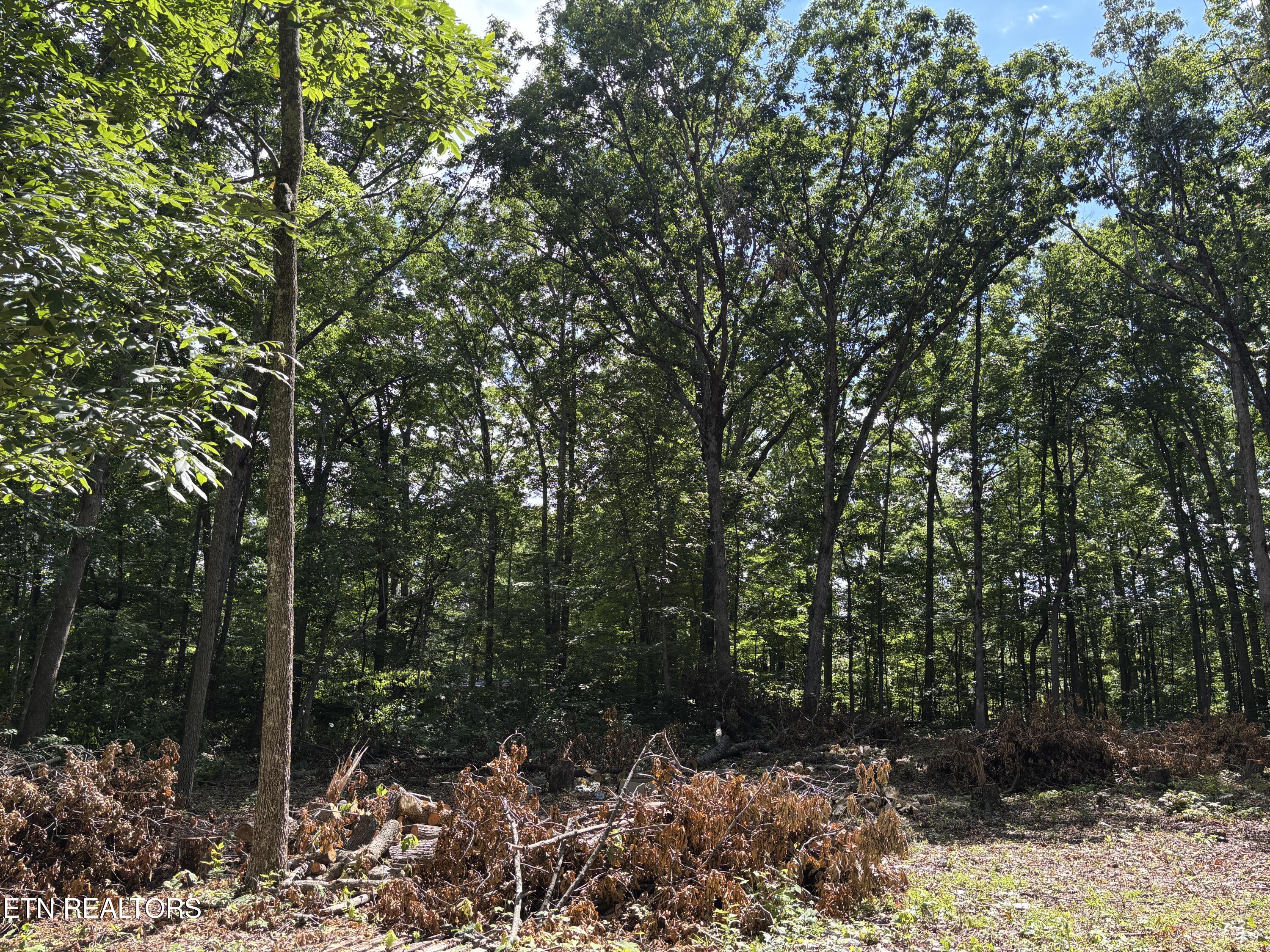 282 Morgan Circle Crossville TN 38572