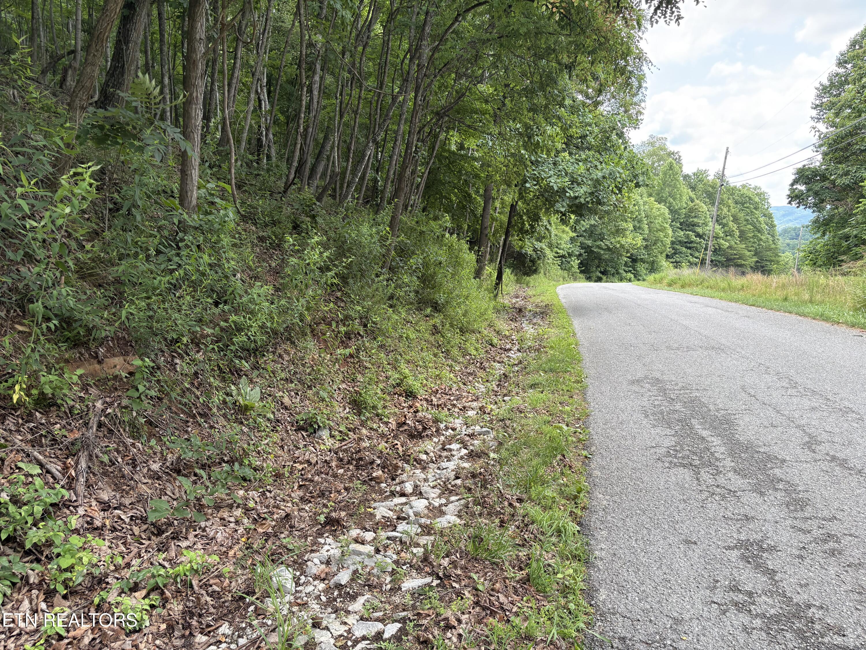 Whistle Valley Road New Tazewell TN 37825