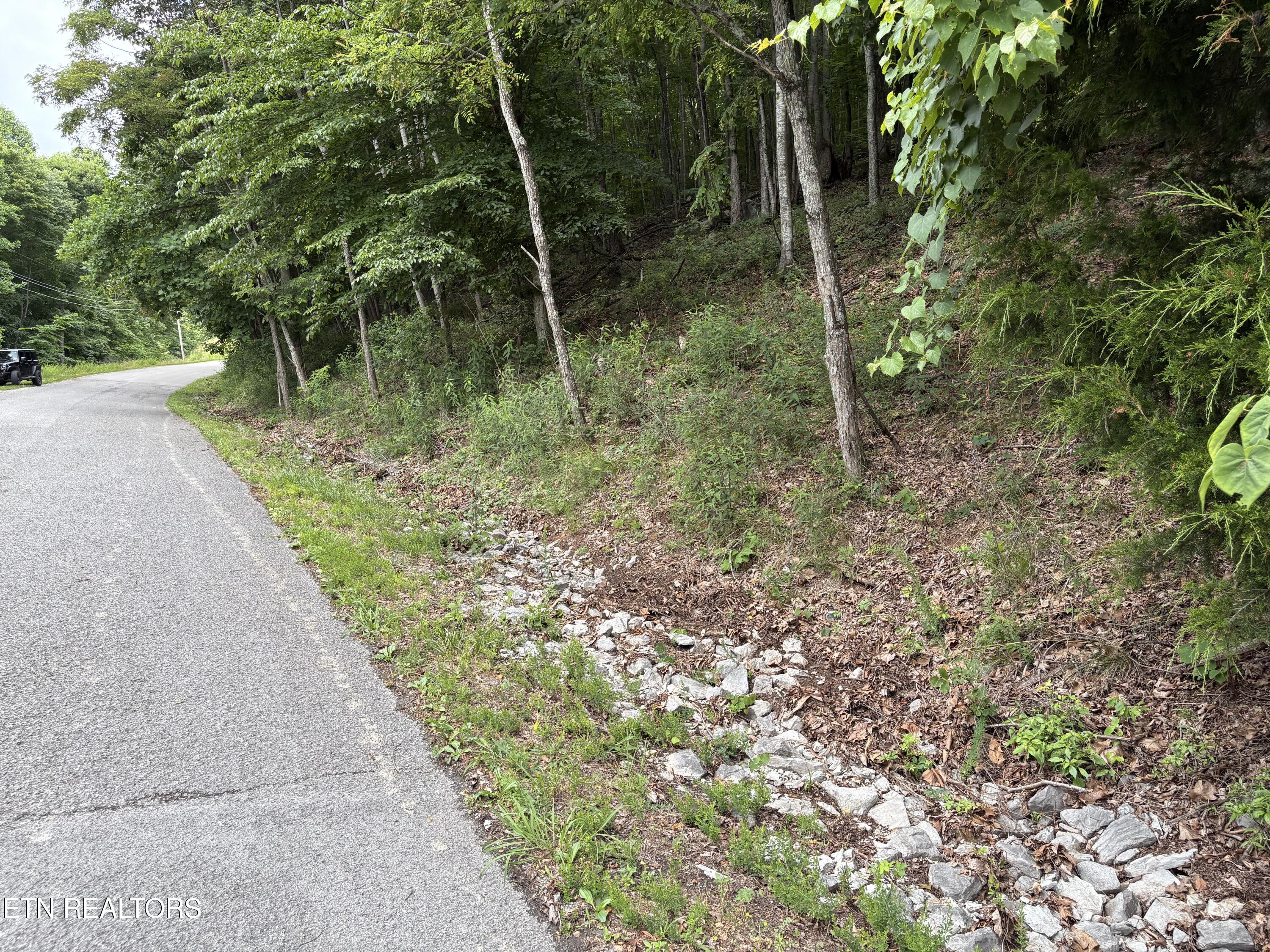 Whistle Valley Road New Tazewell TN 37825