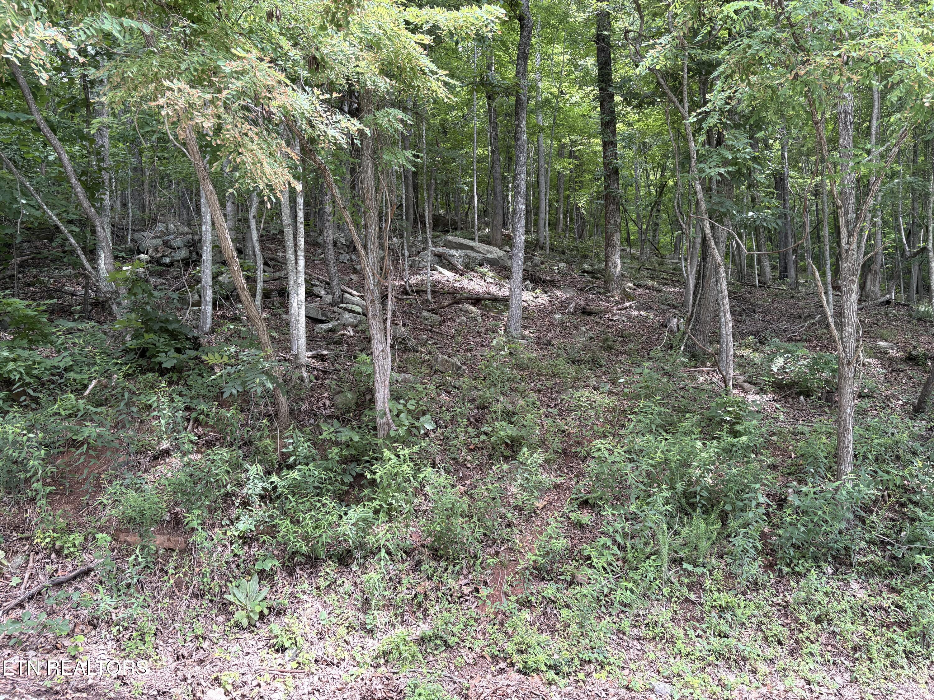 Whistle Valley Road New Tazewell TN 37825