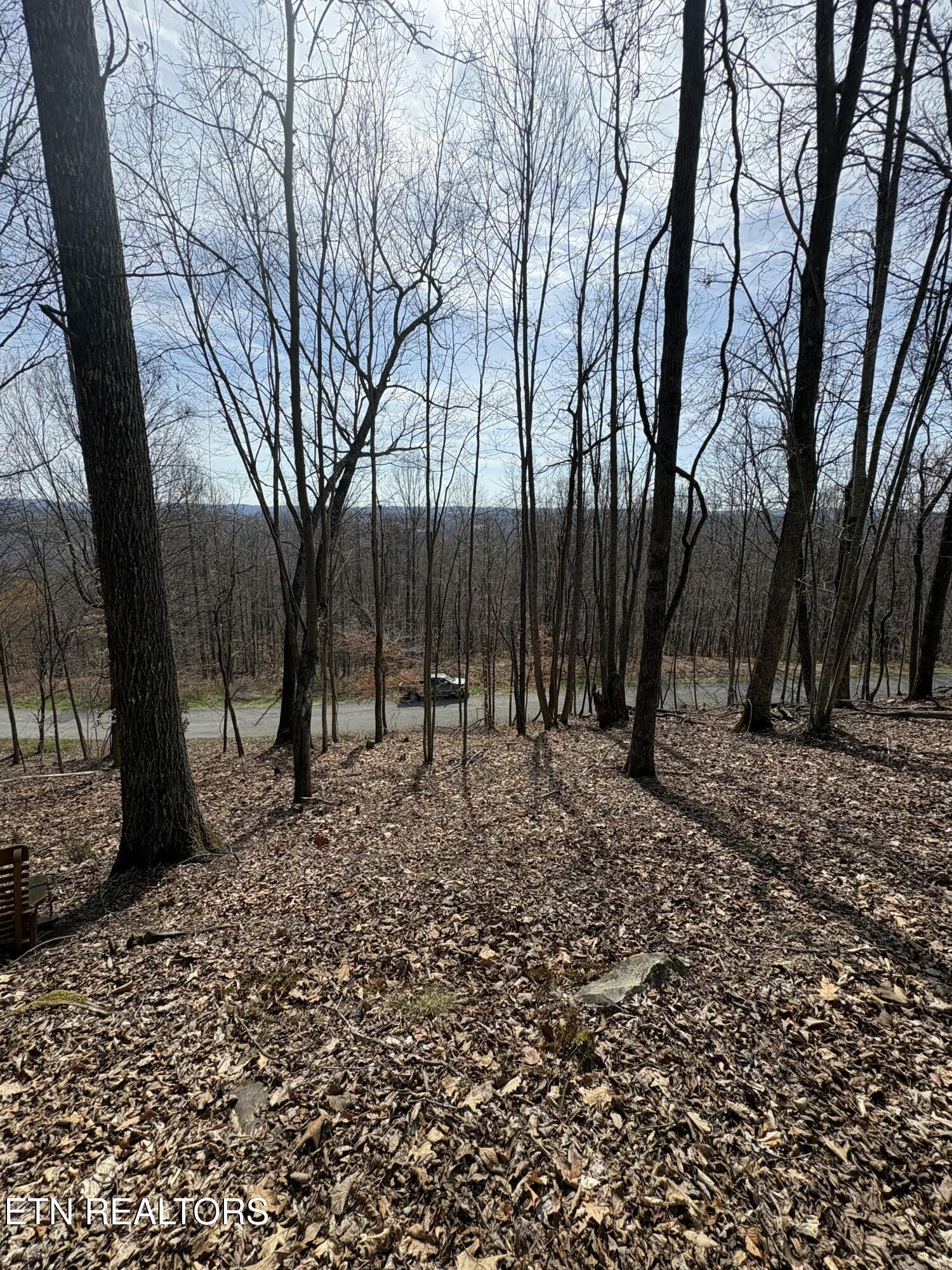 Whistle Valley Road New Tazewell TN 37825