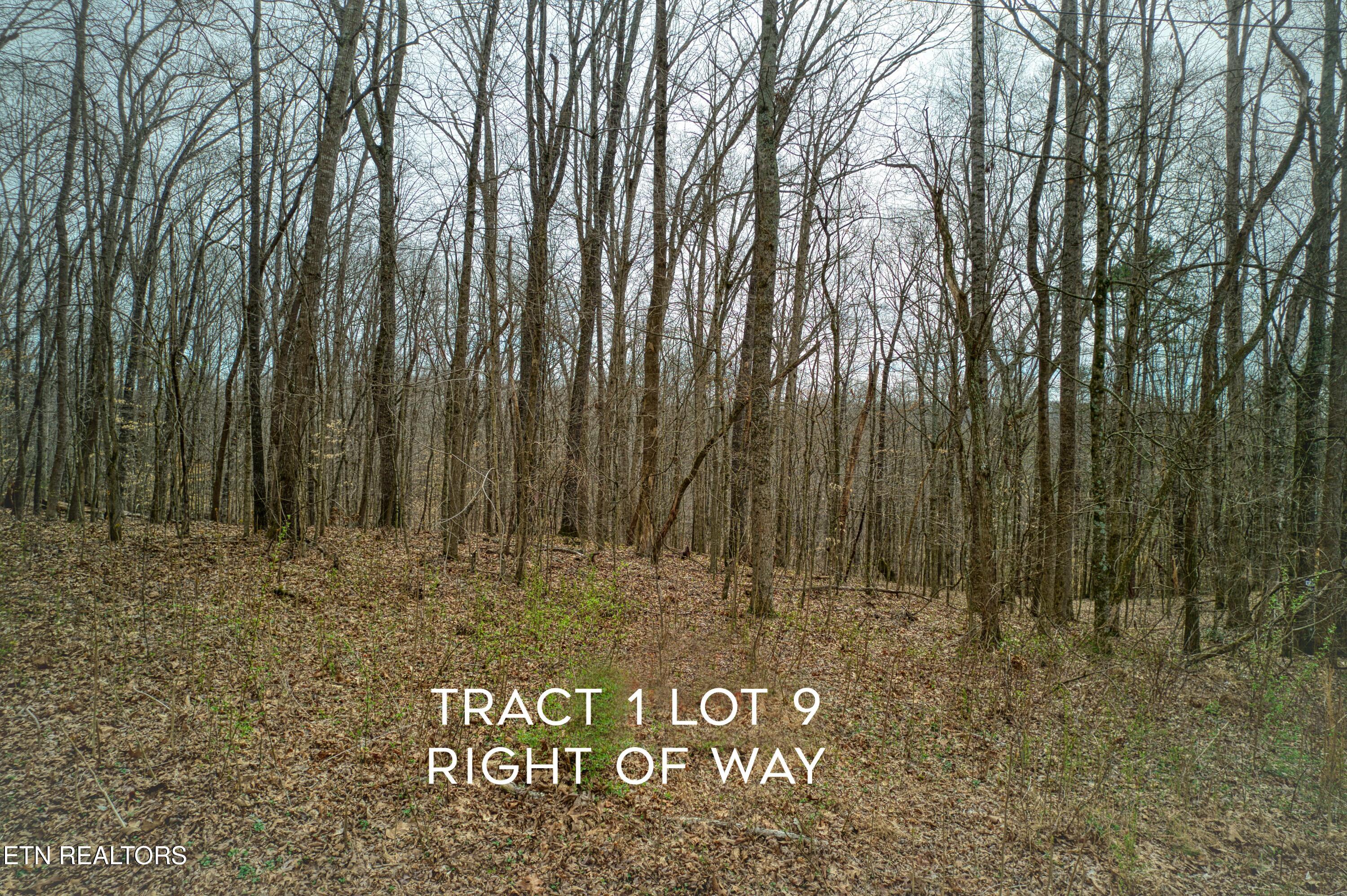 9 + 64 Ac Saga Lane Knoxville TN 37931