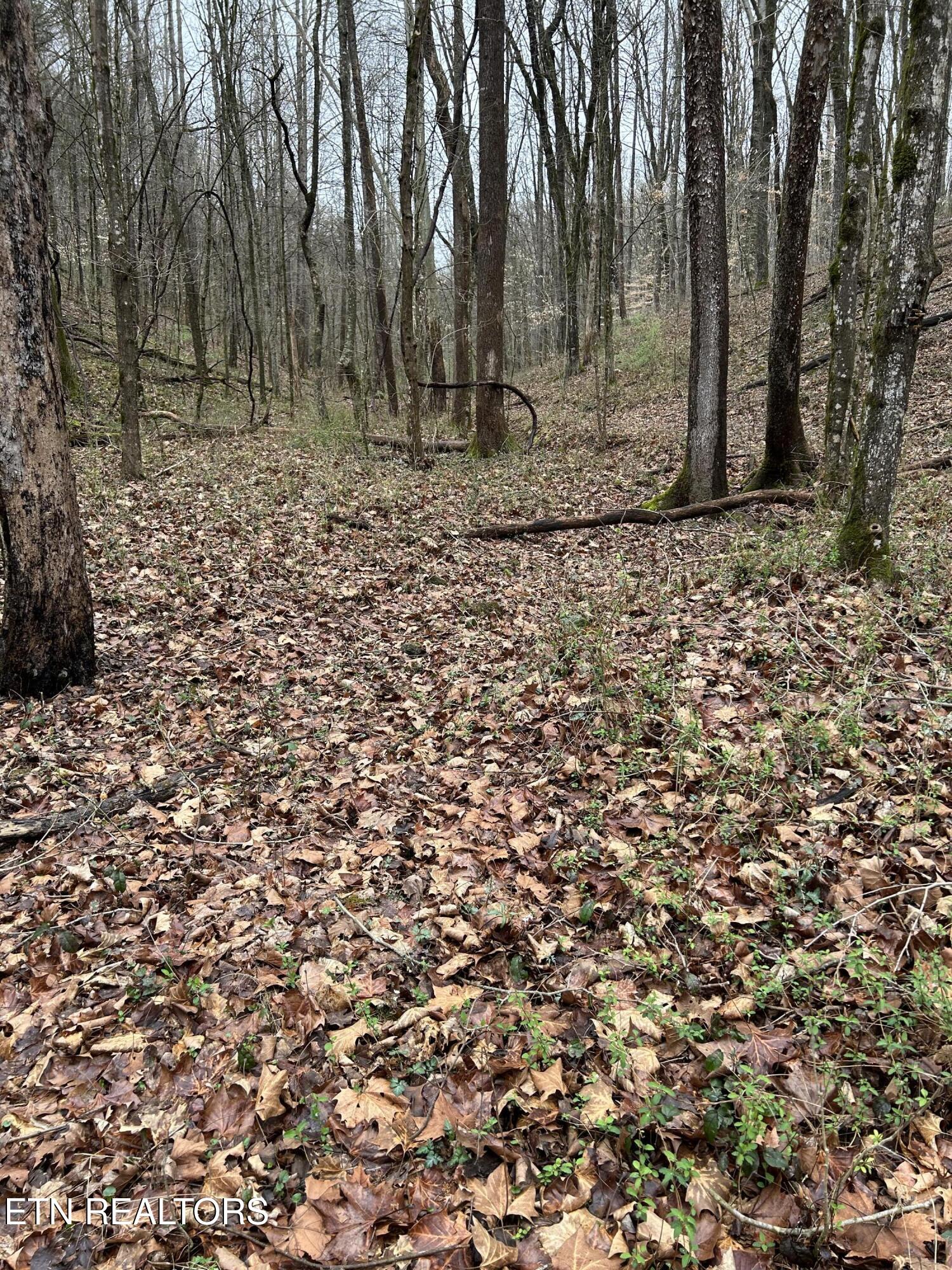 9 + 64 Ac Saga Lane Knoxville TN 37931