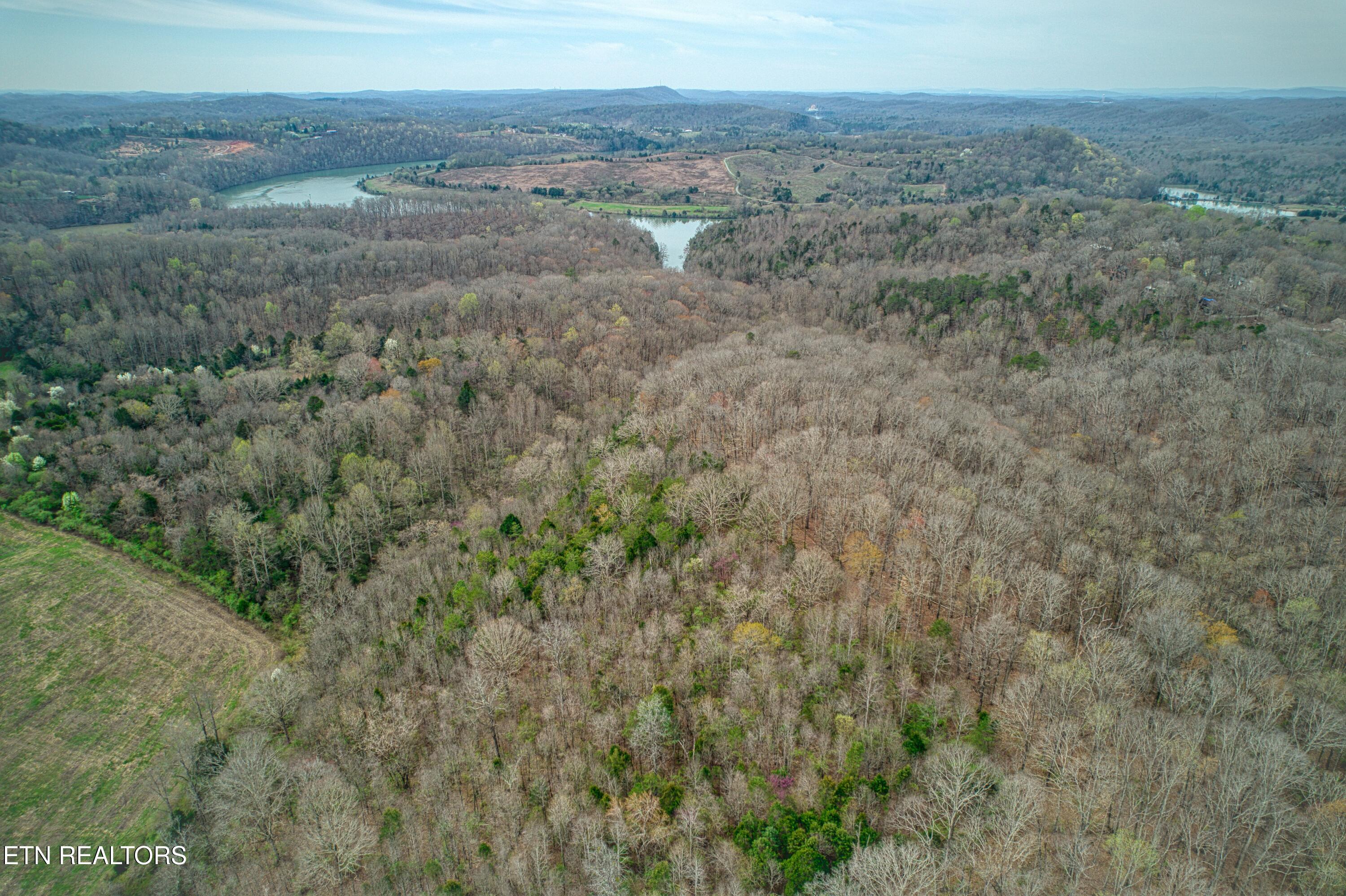 9 + 64 Ac Saga Lane Knoxville TN 37931