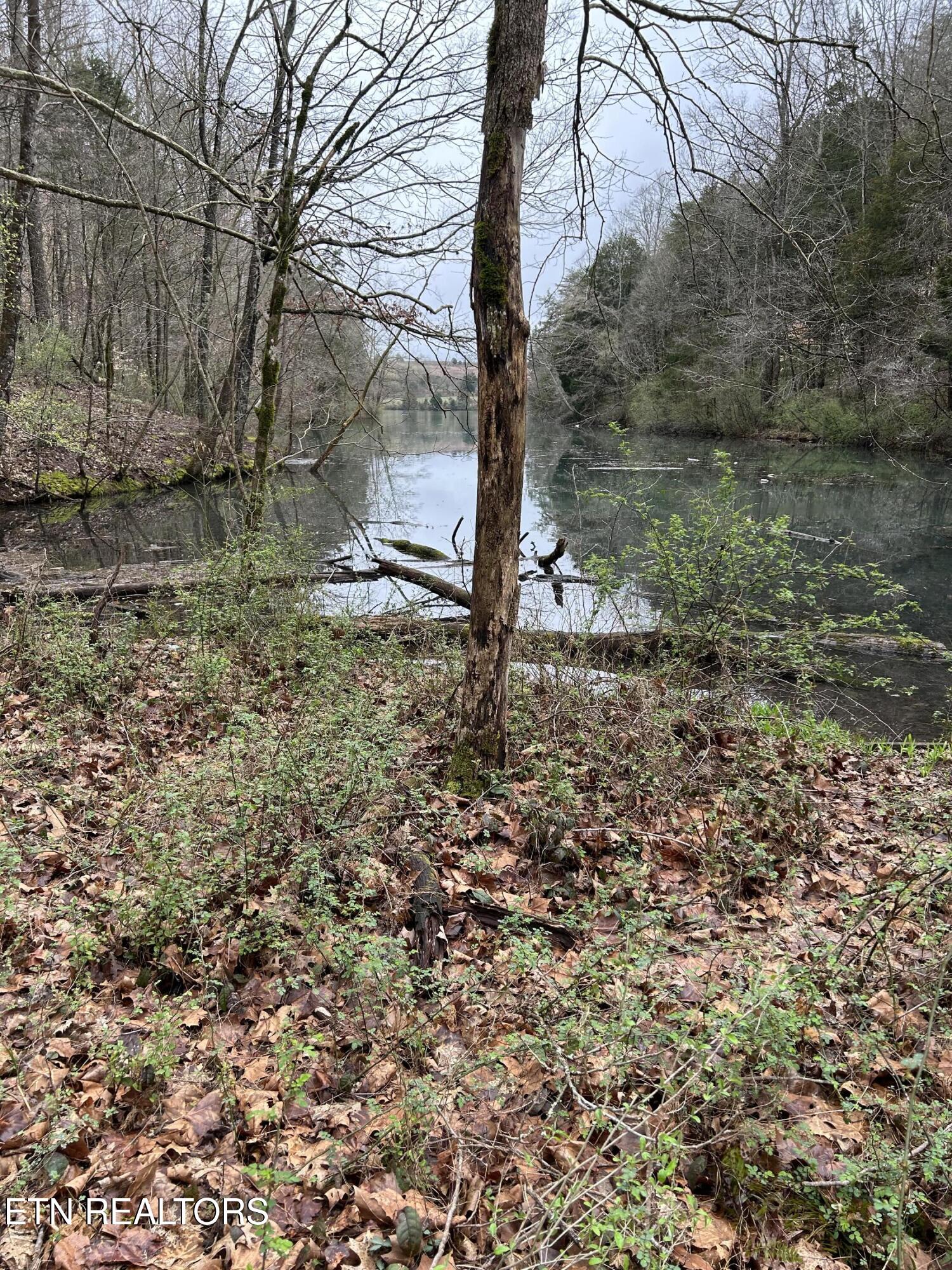 9 + 64 Ac Saga Lane Knoxville TN 37931