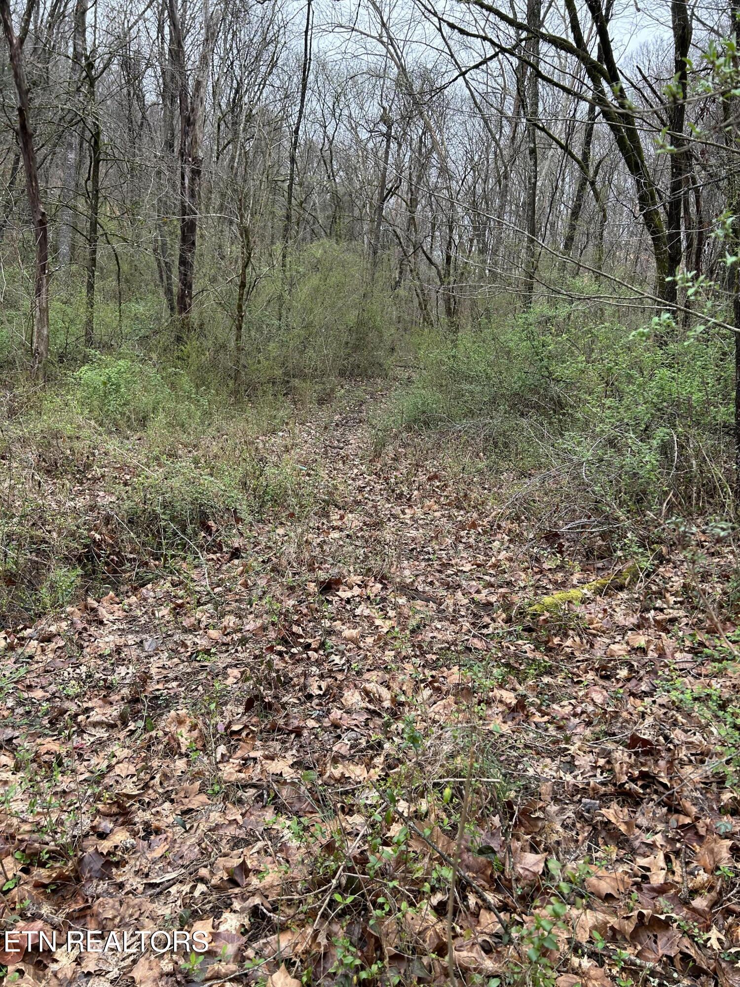 9 + 64 Ac Saga Lane Knoxville TN 37931