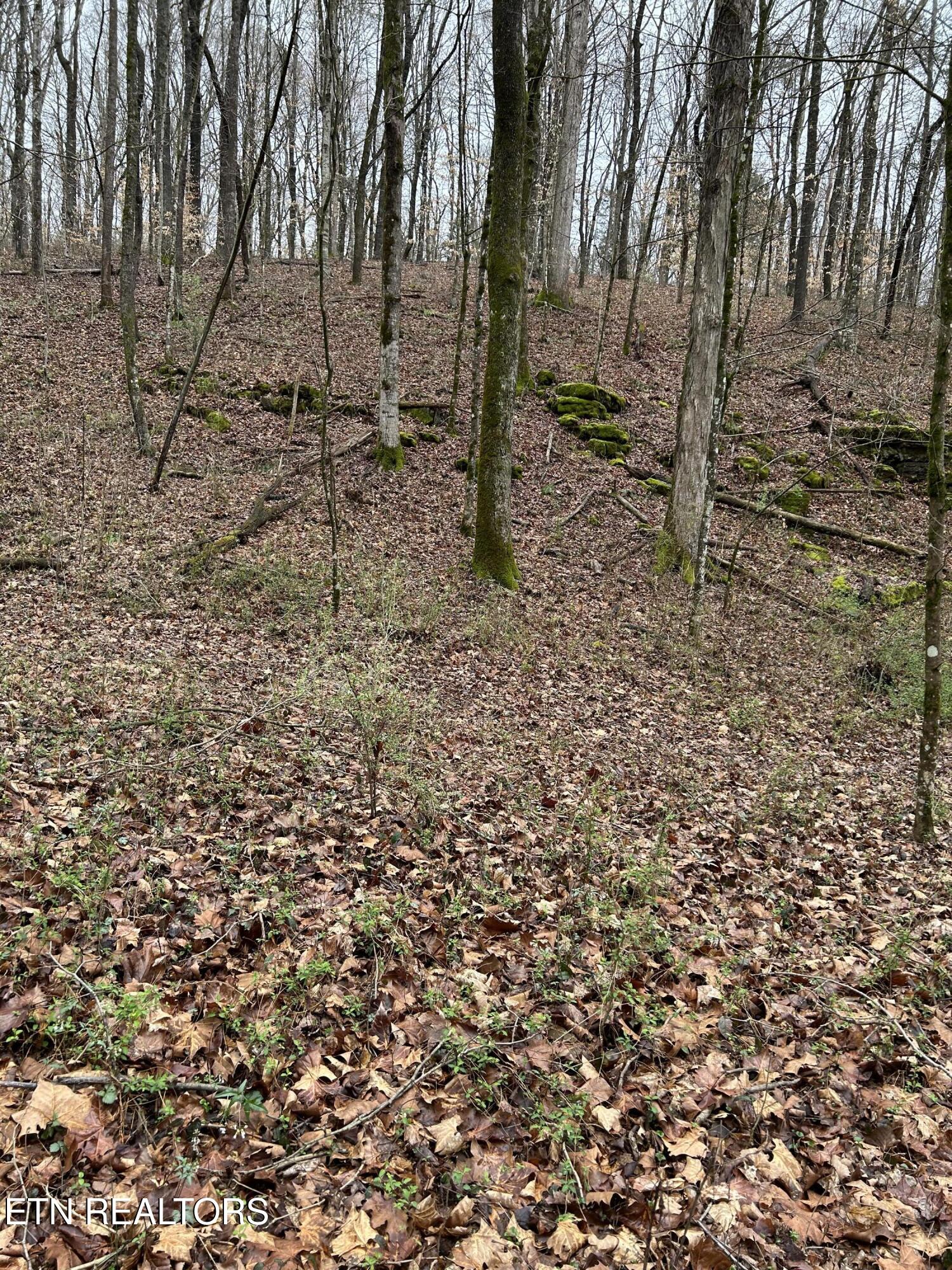 9 + 64 Ac Saga Lane Knoxville TN 37931
