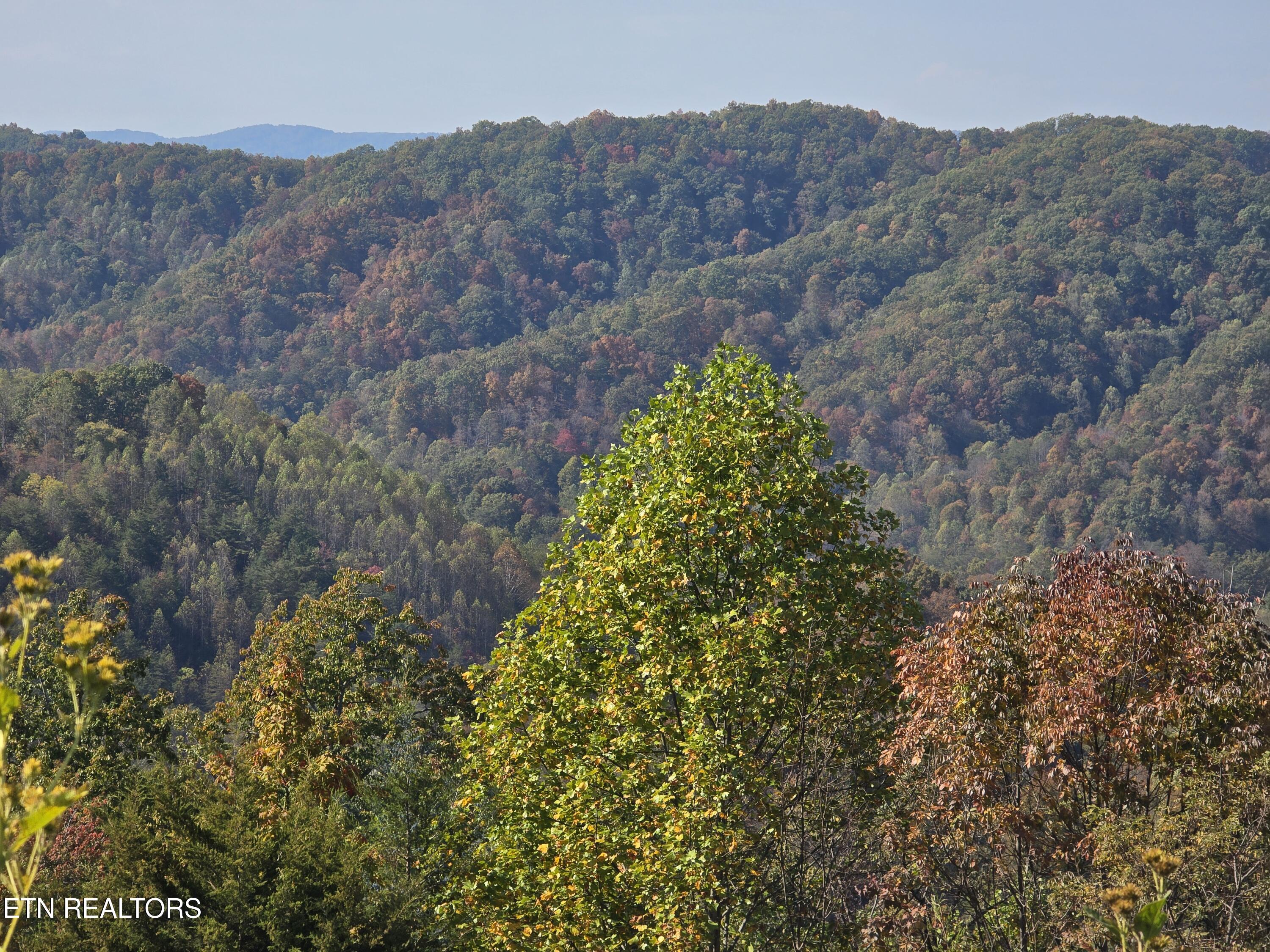 Tbd Copper Ridge Road Eidson TN 37731