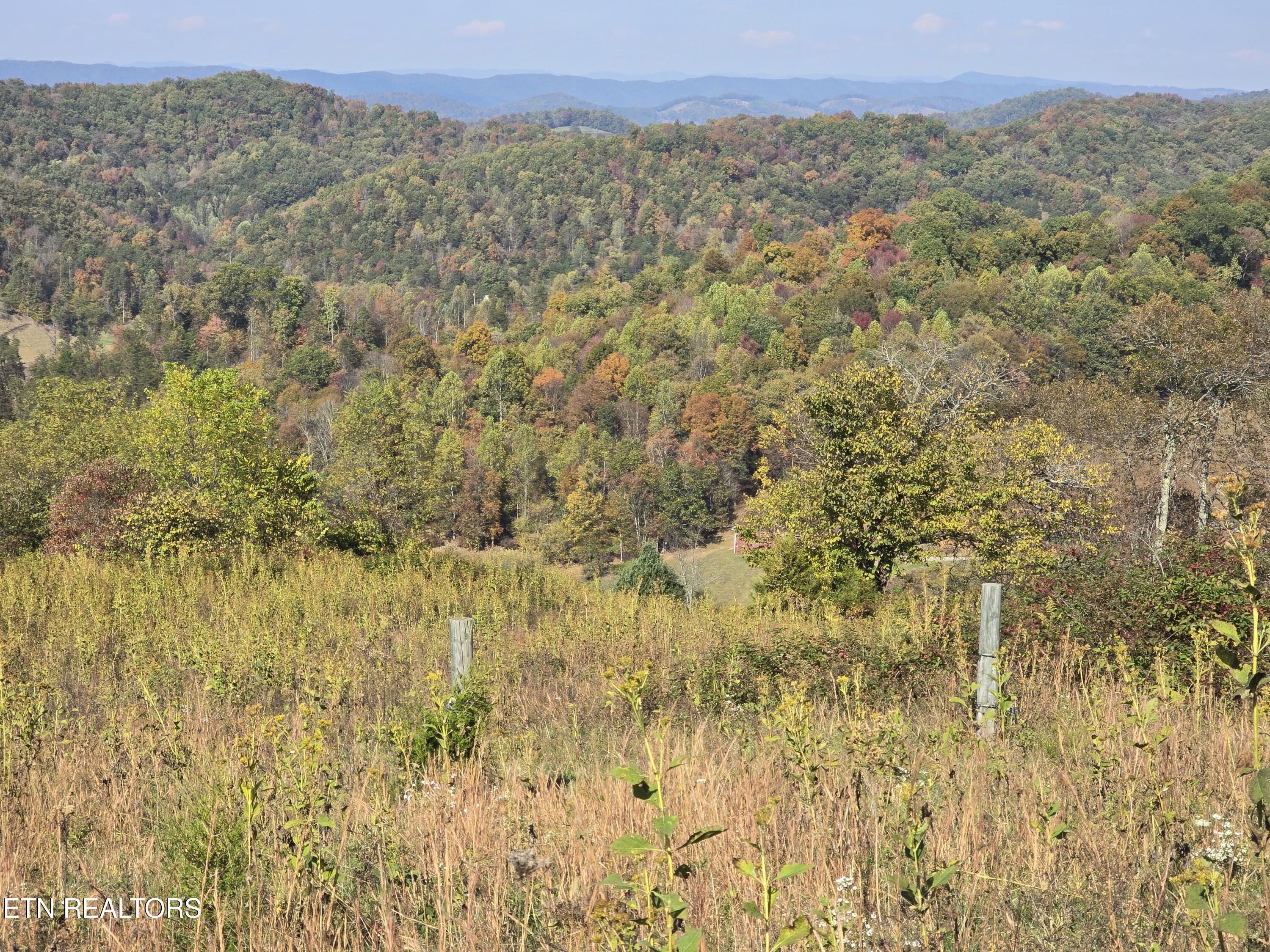 Tbd Copper Ridge Road Eidson TN 37731