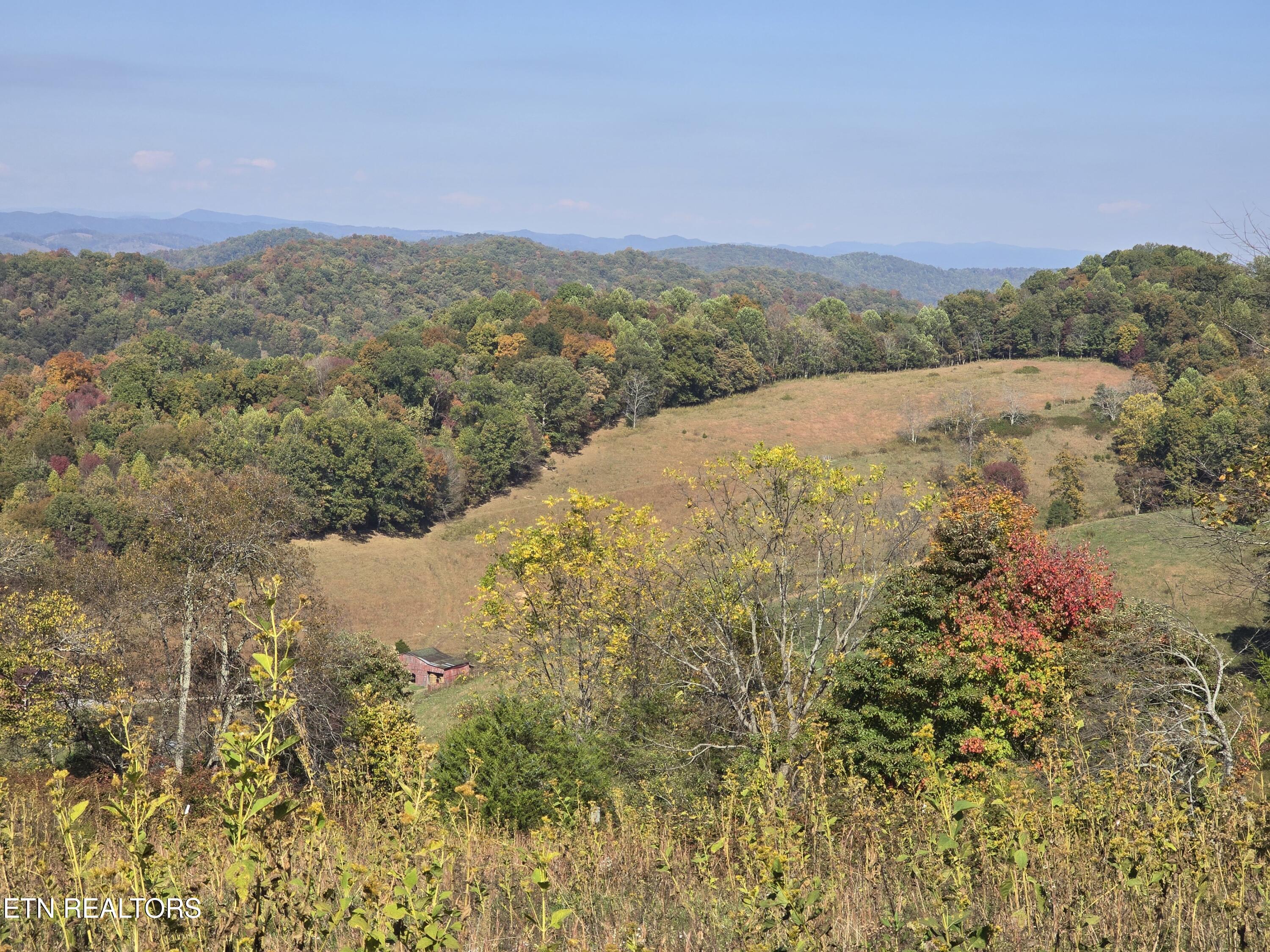Tbd Copper Ridge Road Eidson TN 37731