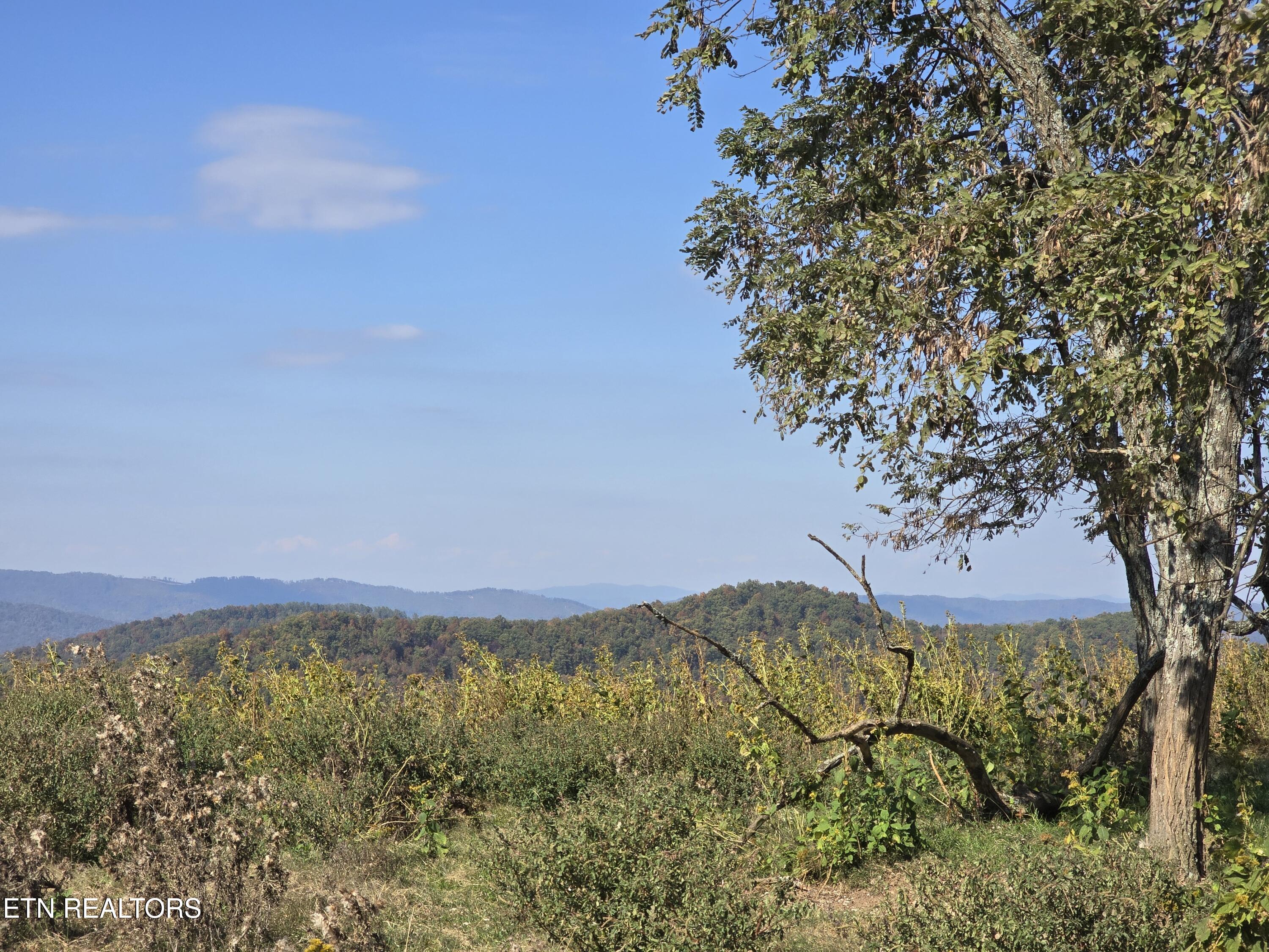 Tbd Copper Ridge Road Eidson TN 37731