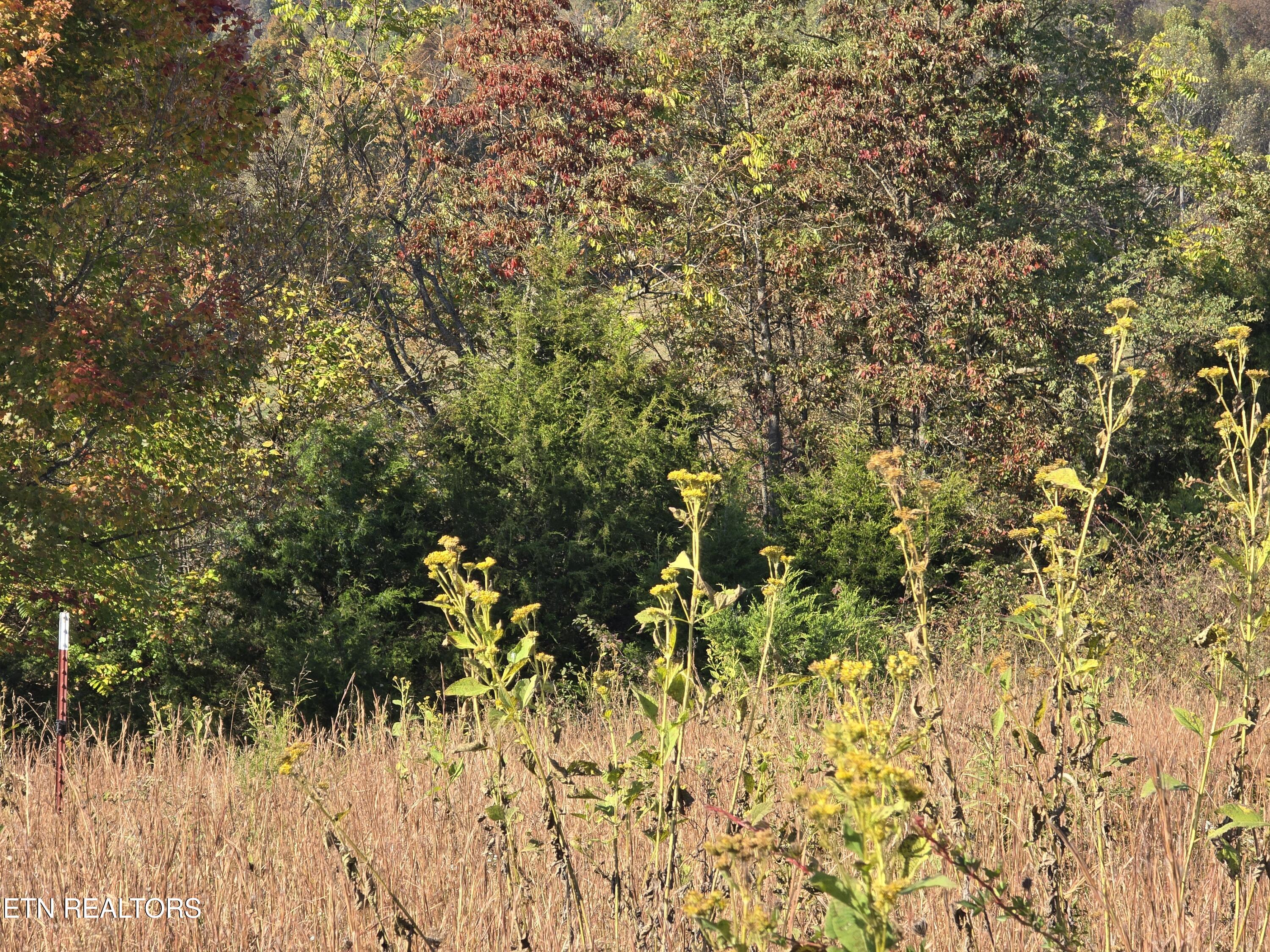 Tbd Copper Ridge Road Eidson TN 37731