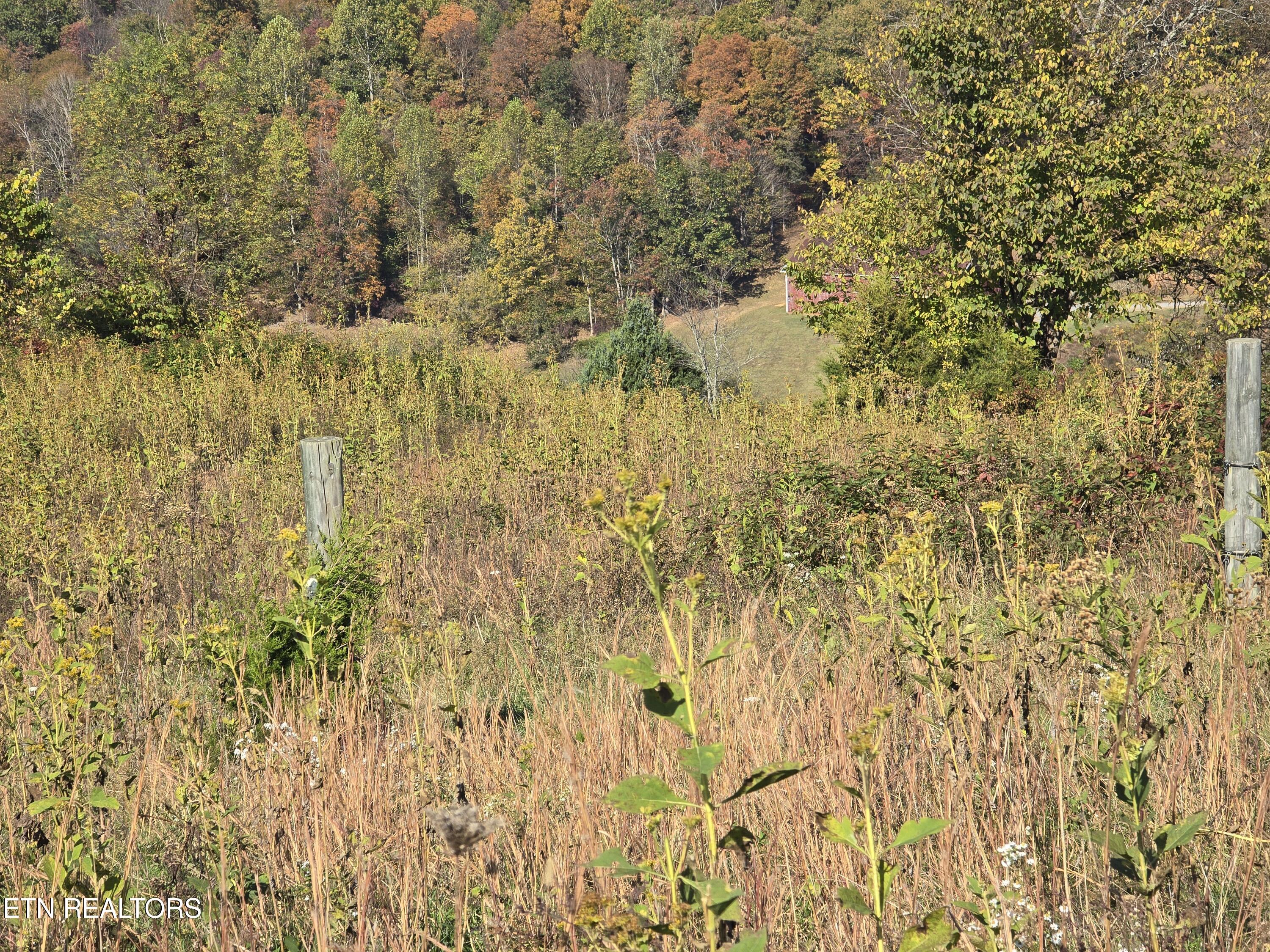 Tbd Copper Ridge Road Eidson TN 37731