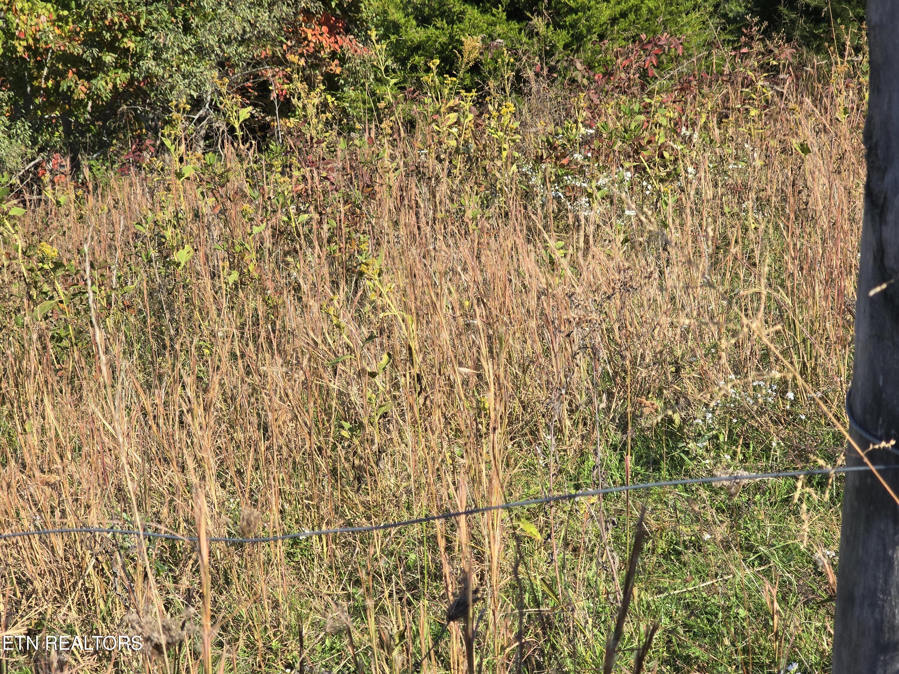 Tbd Copper Ridge Road Eidson TN 37731