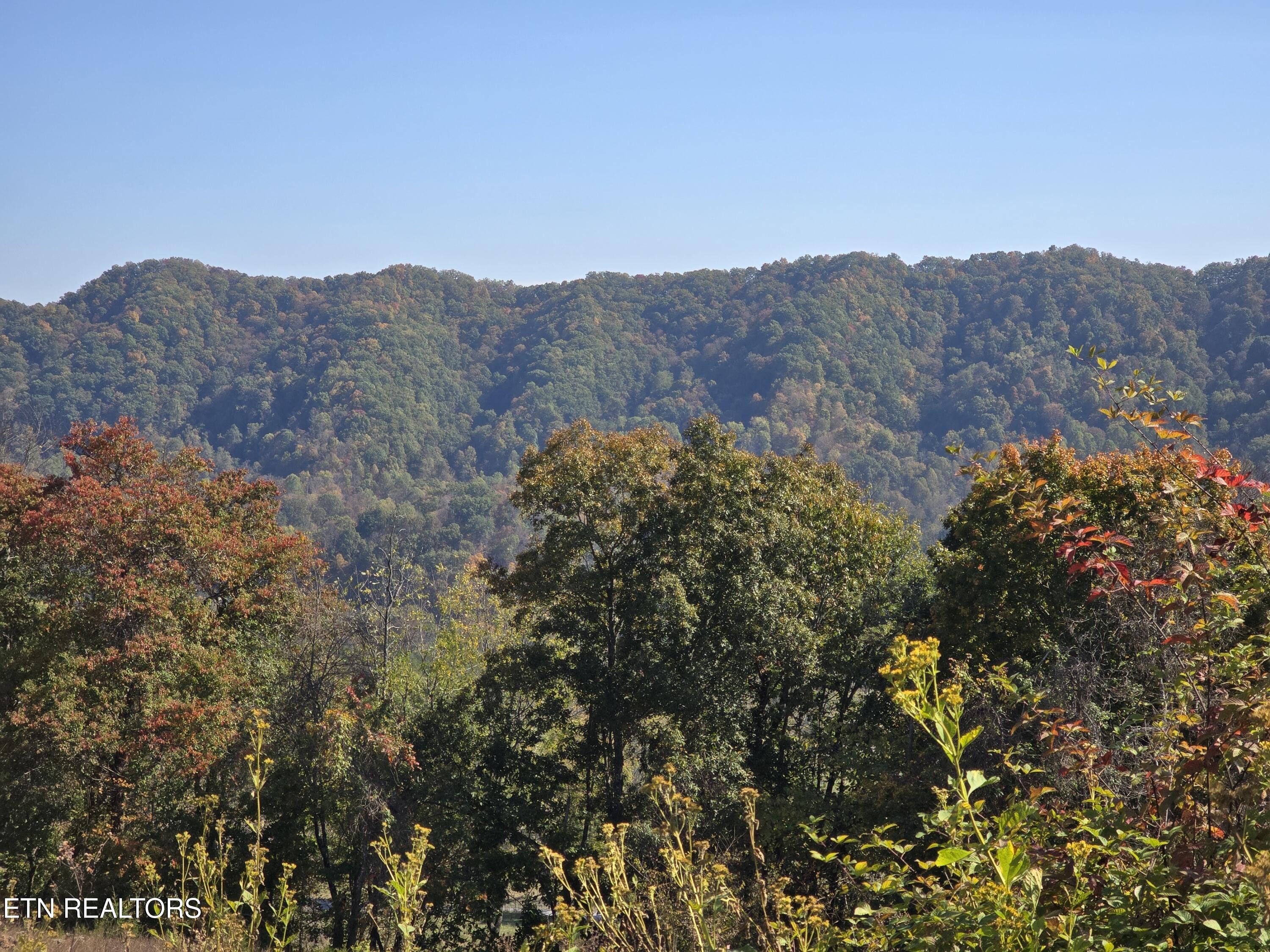 Tbd Copper Ridge Road Eidson TN 37731