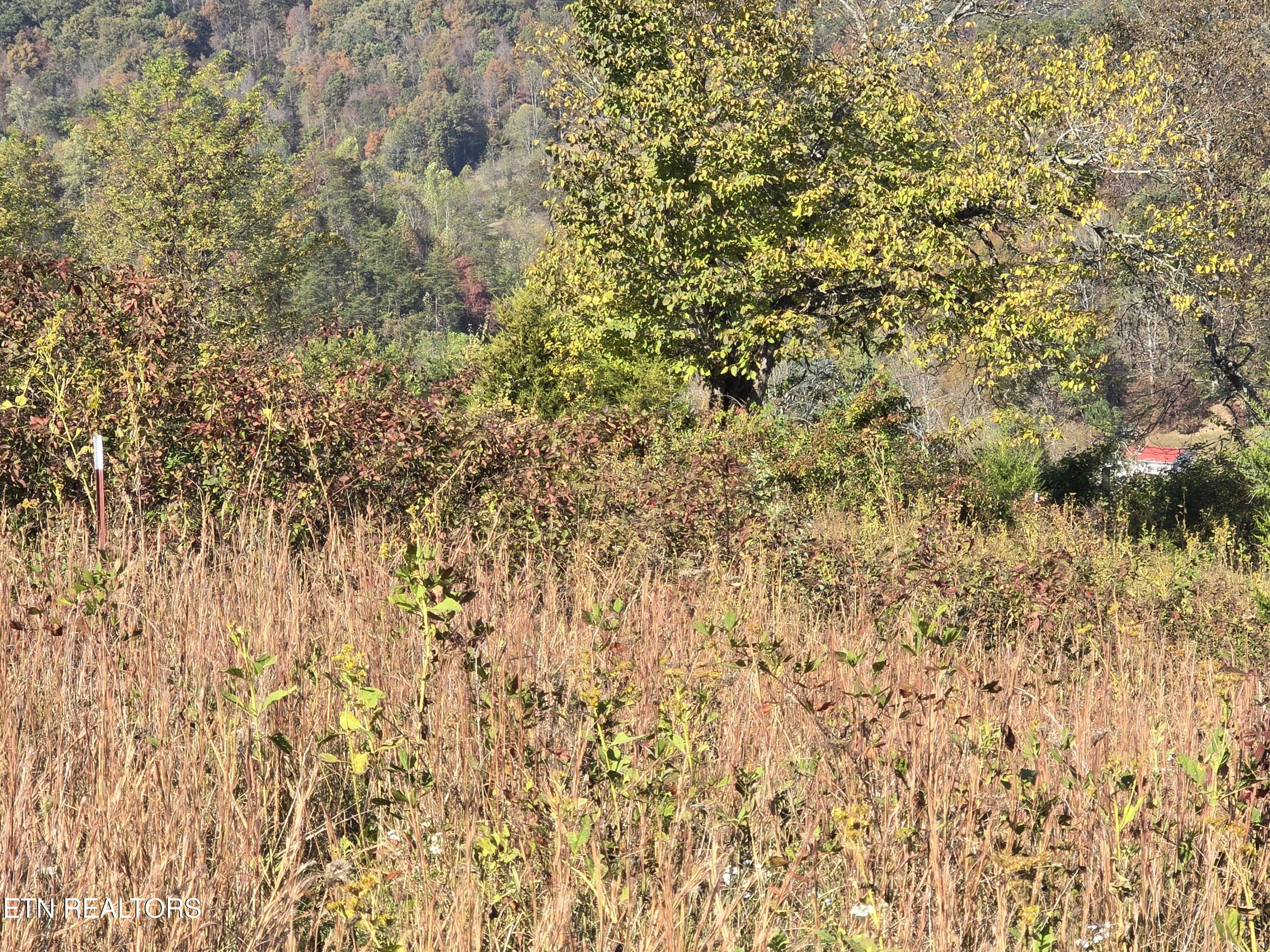Tbd Copper Ridge Road Eidson TN 37731