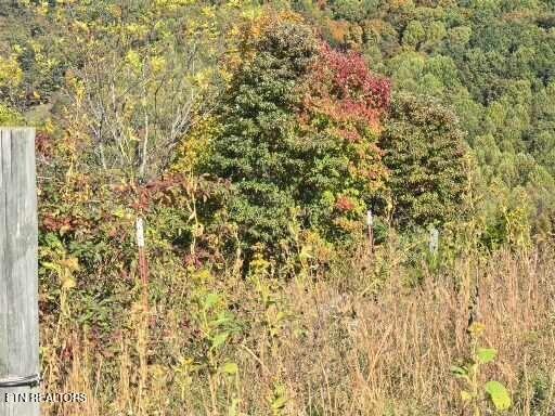 Tbd Copper Ridge Road Eidson TN 37731