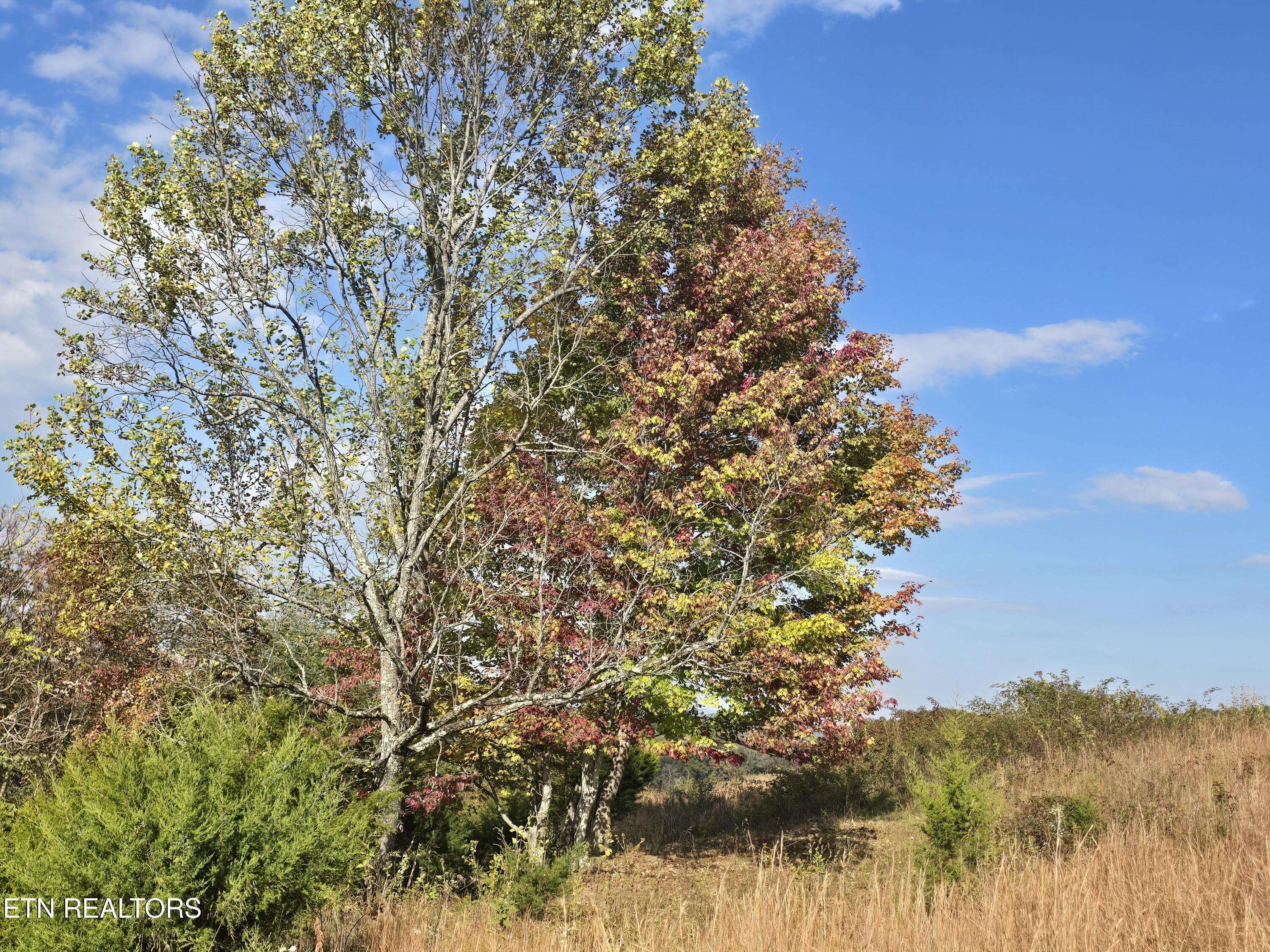 Tbd Copper Ridge Road Eidson TN 37731