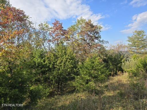 Tbd Copper Ridge Road Eidson TN 37731