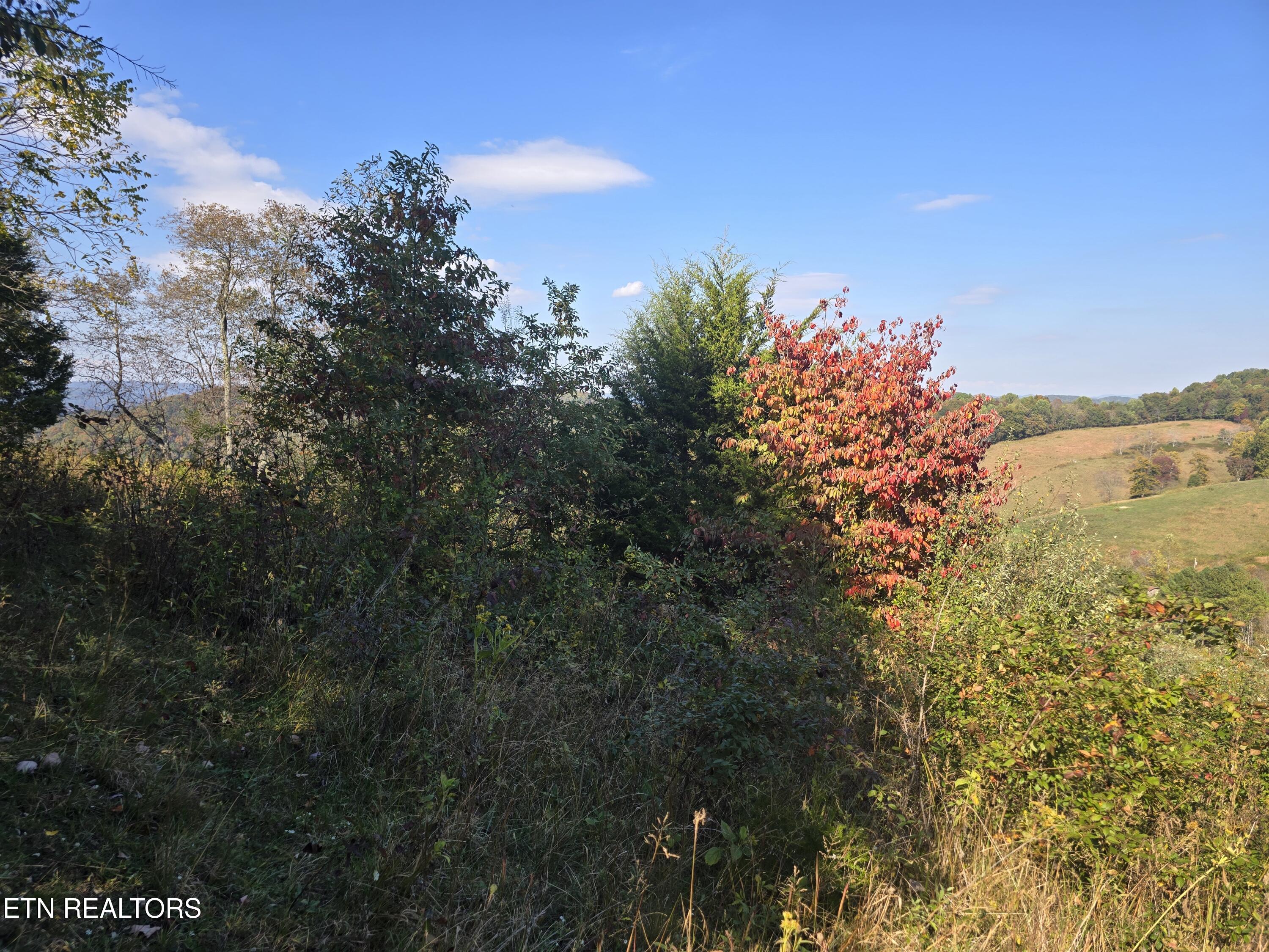 Tbd Copper Ridge Road Eidson TN 37731