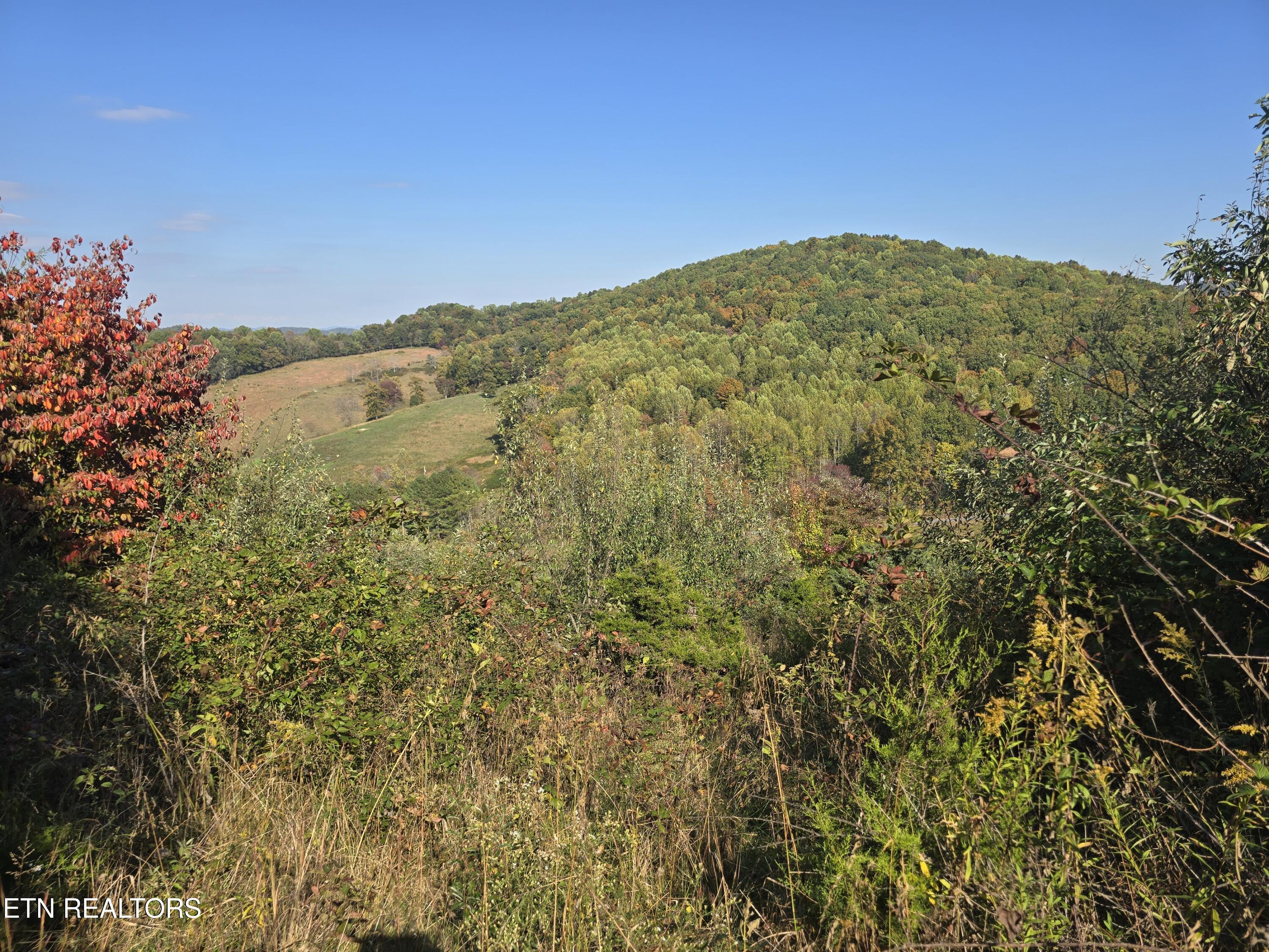 Tbd Copper Ridge Road Eidson TN 37731