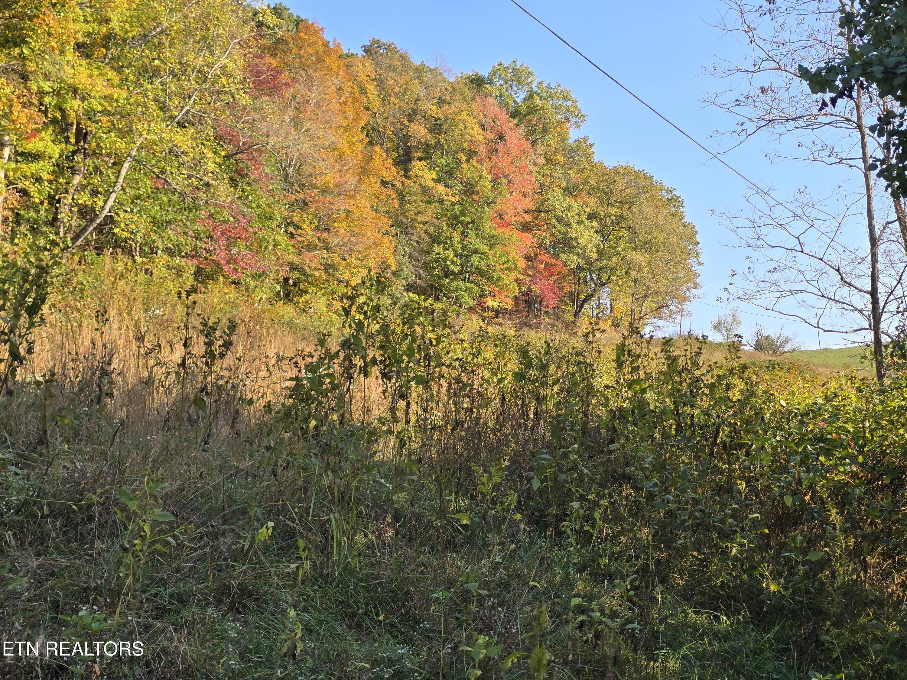 Tbd Copper Ridge Road Eidson TN 37731