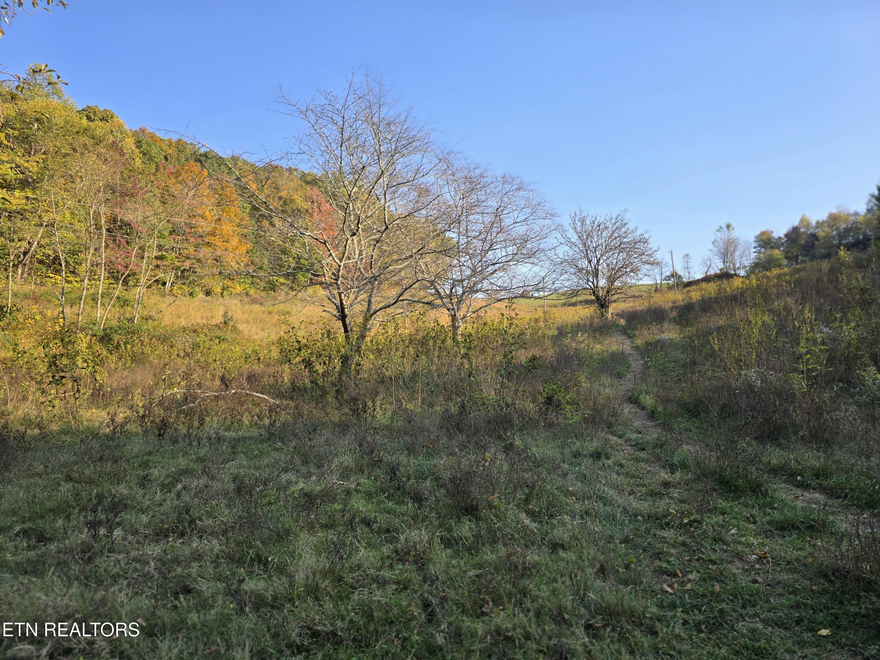 Tbd Copper Ridge Road Eidson TN 37731