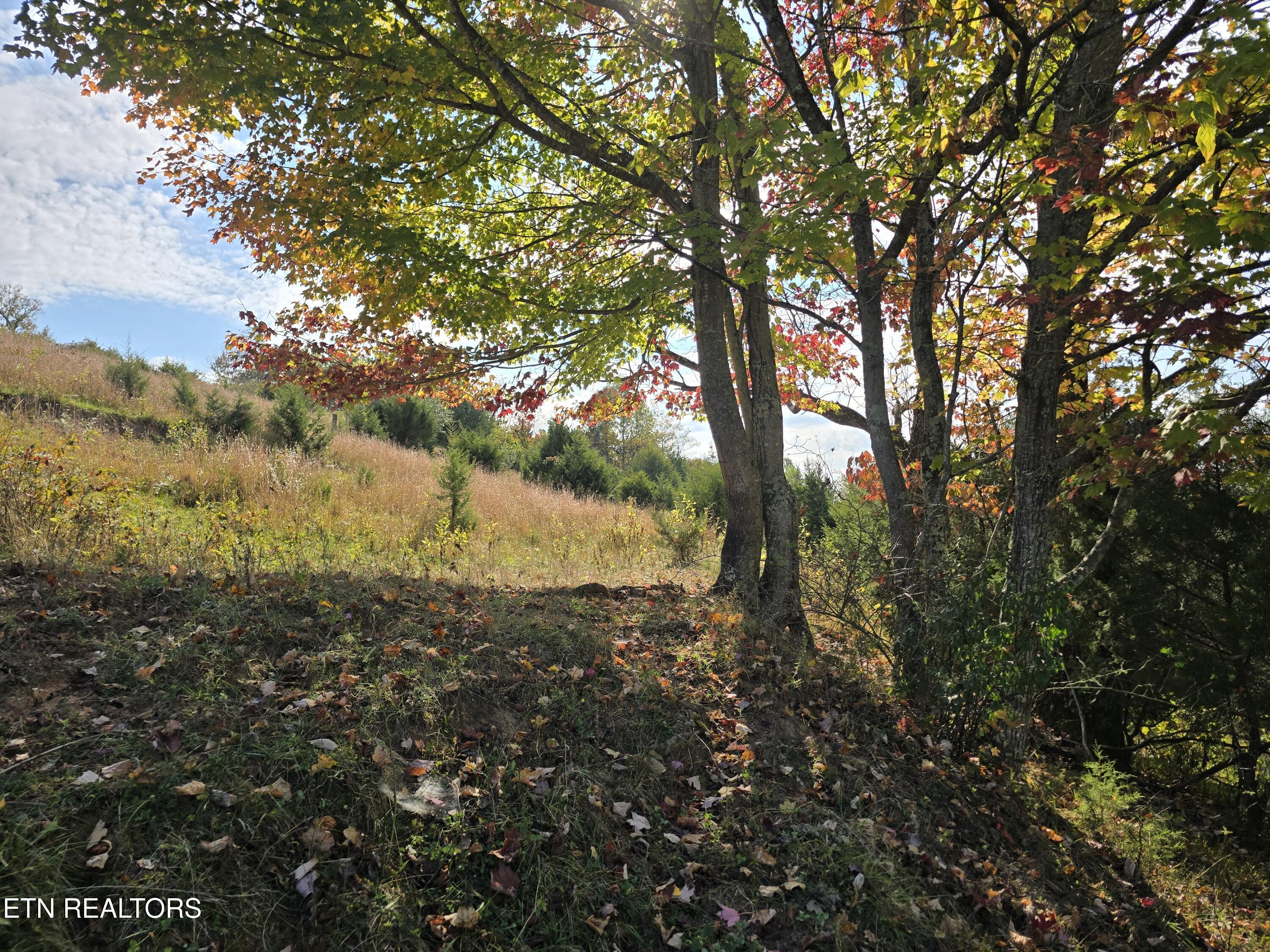 Tbd Copper Ridge Road Eidson TN 37731