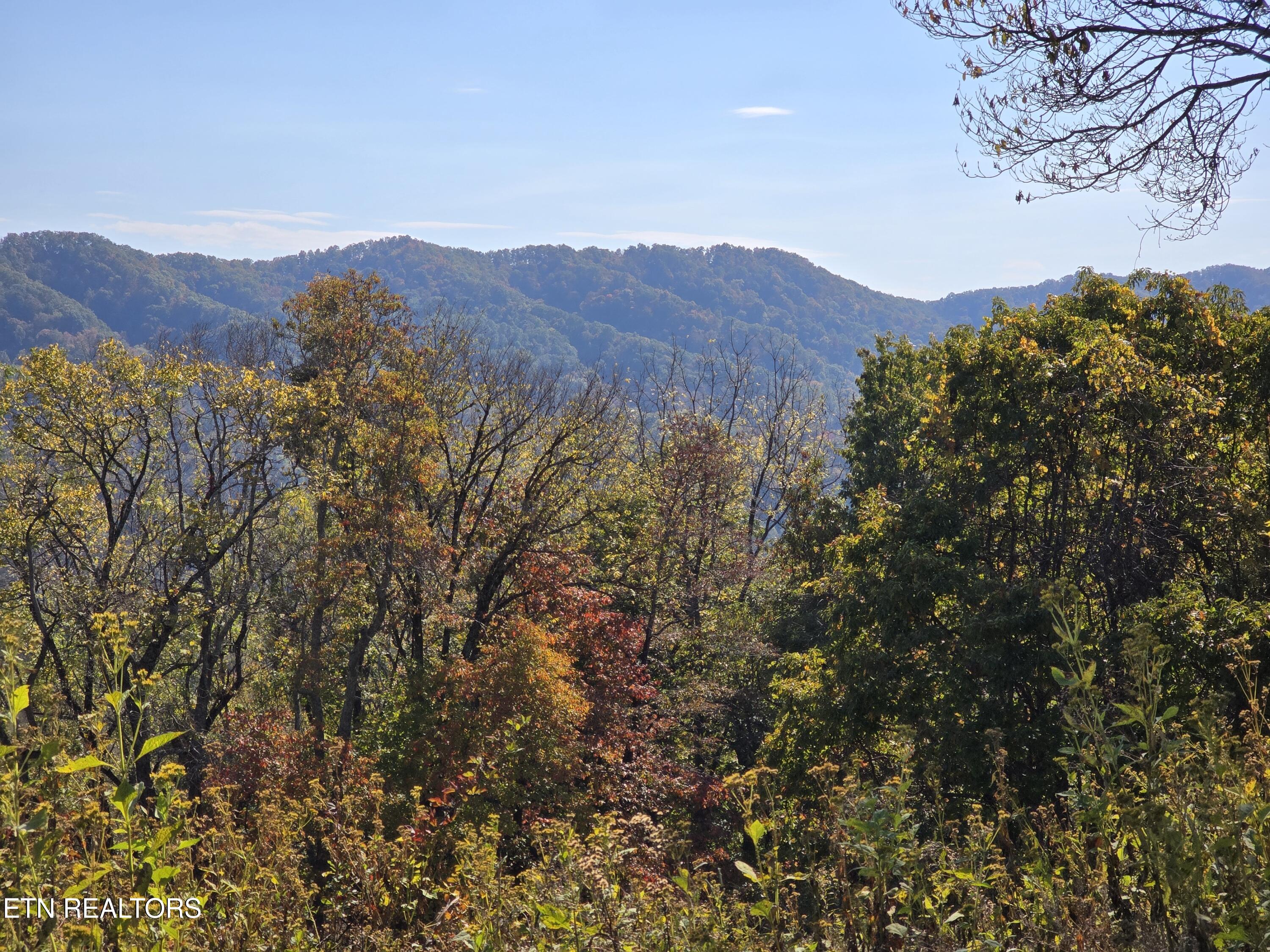 Tbd Copper Ridge Road Eidson TN 37731