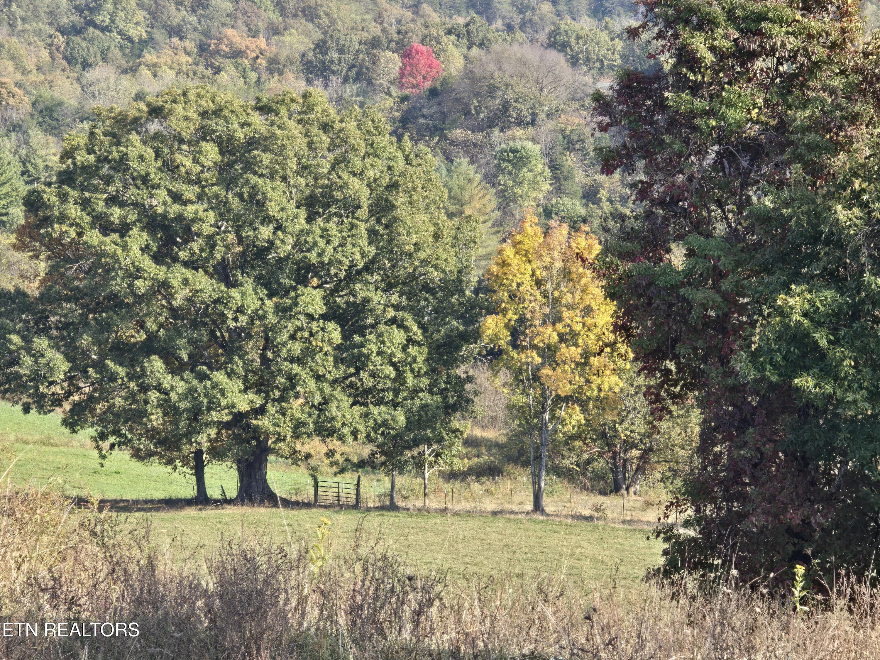 Tbd Copper Ridge Road Eidson TN 37731