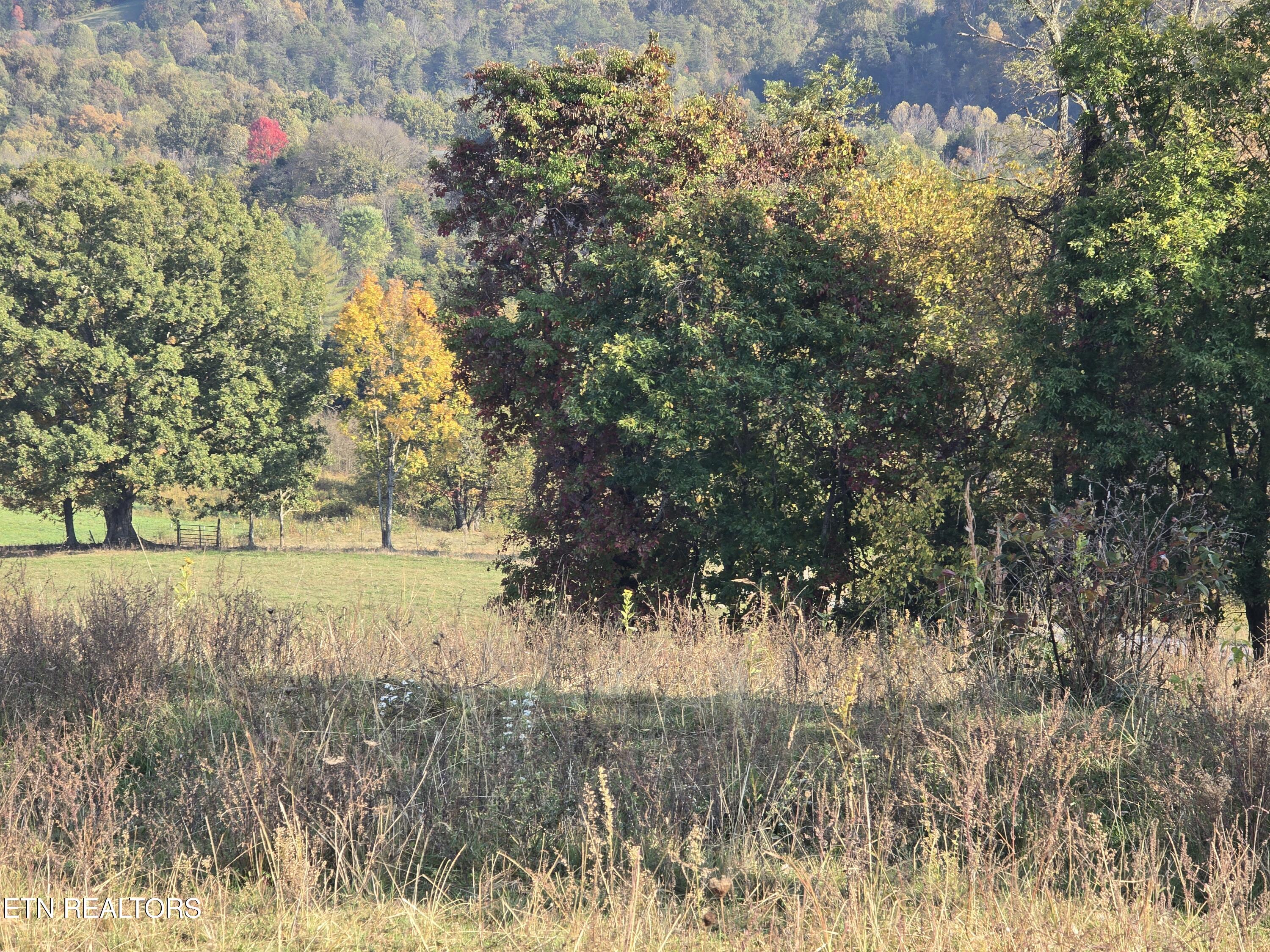 Tbd Copper Ridge Road Eidson TN 37731