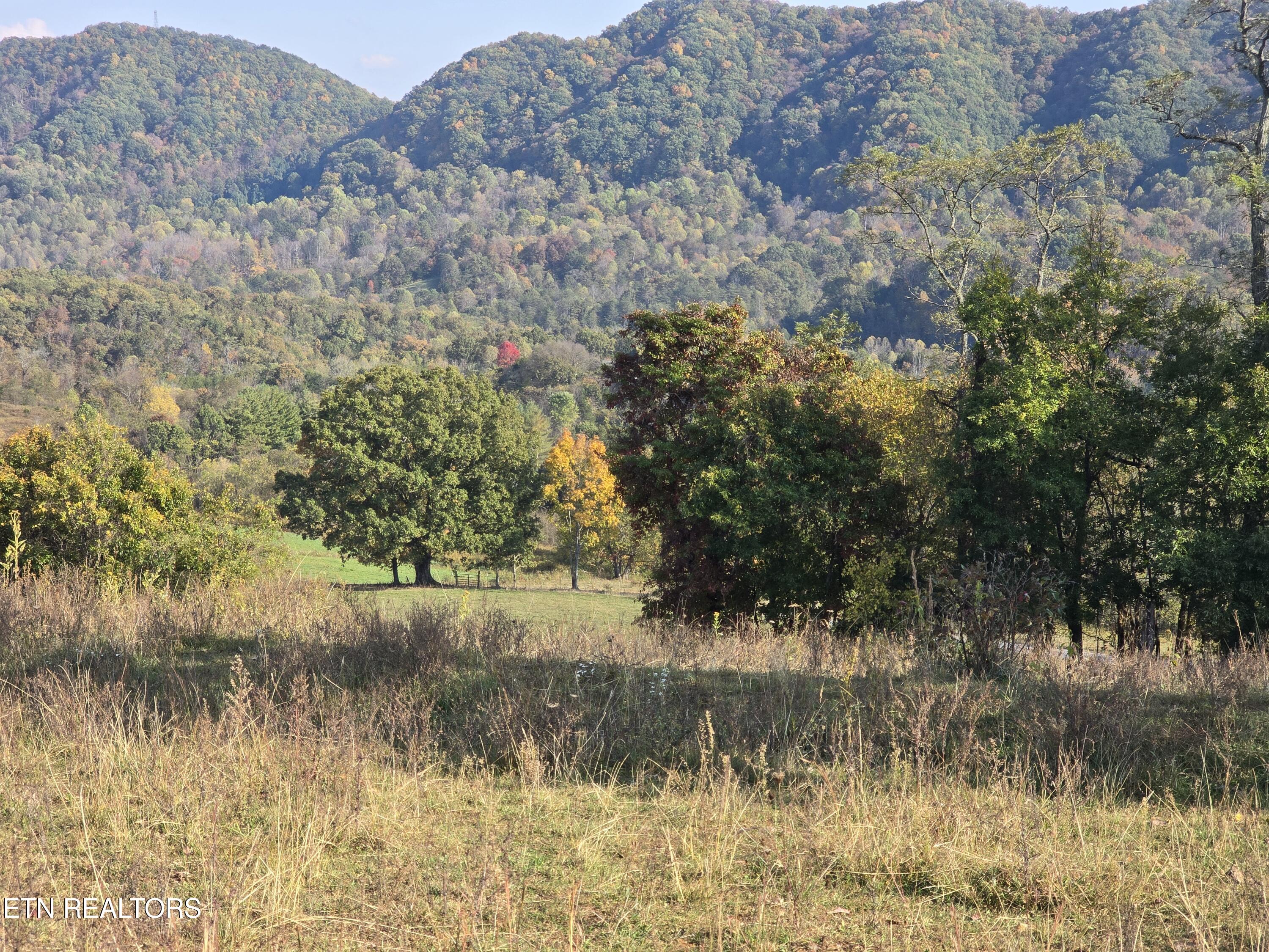 Tbd Copper Ridge Road Eidson TN 37731