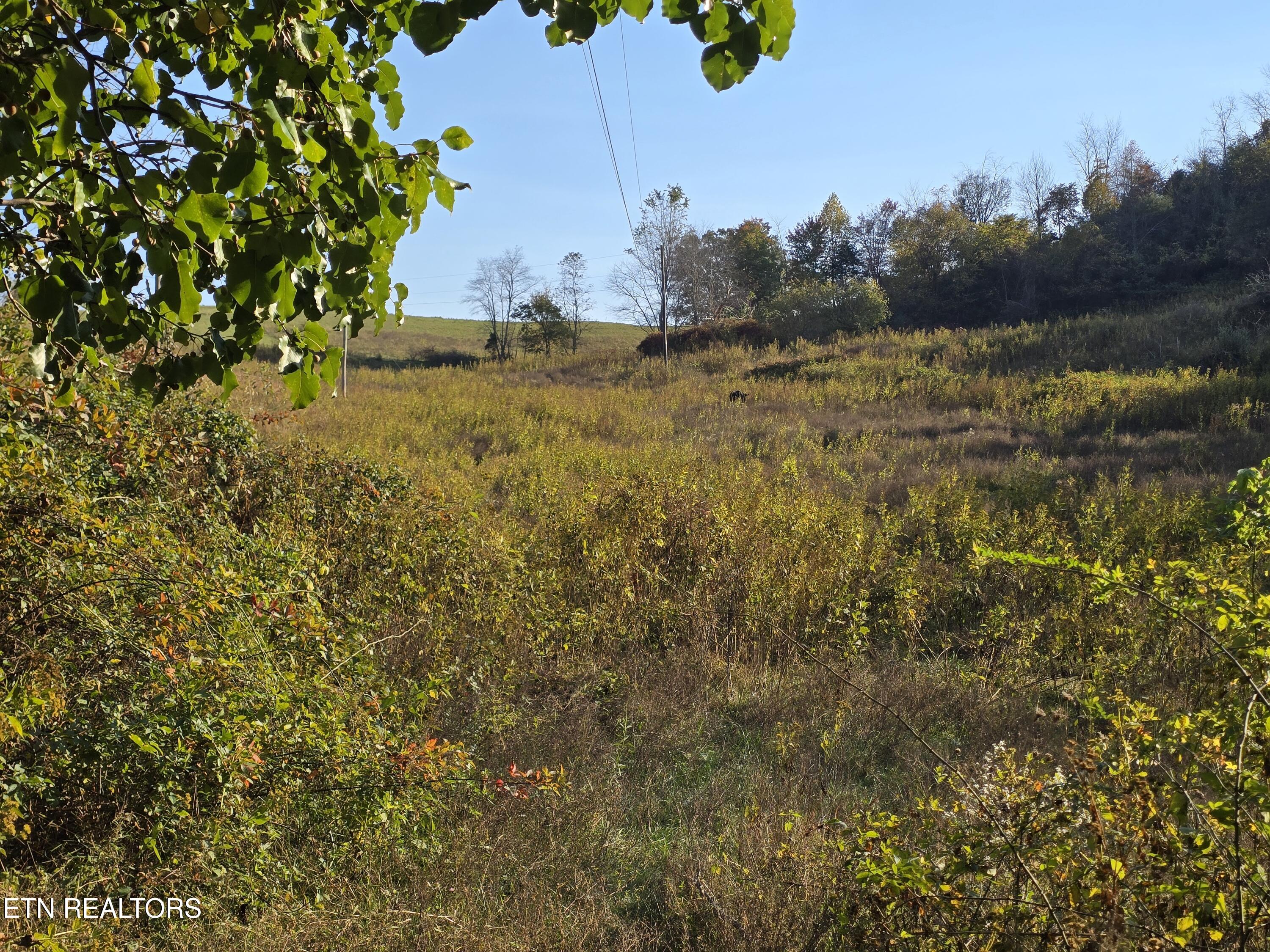 Tbd Copper Ridge Road Eidson TN 37731