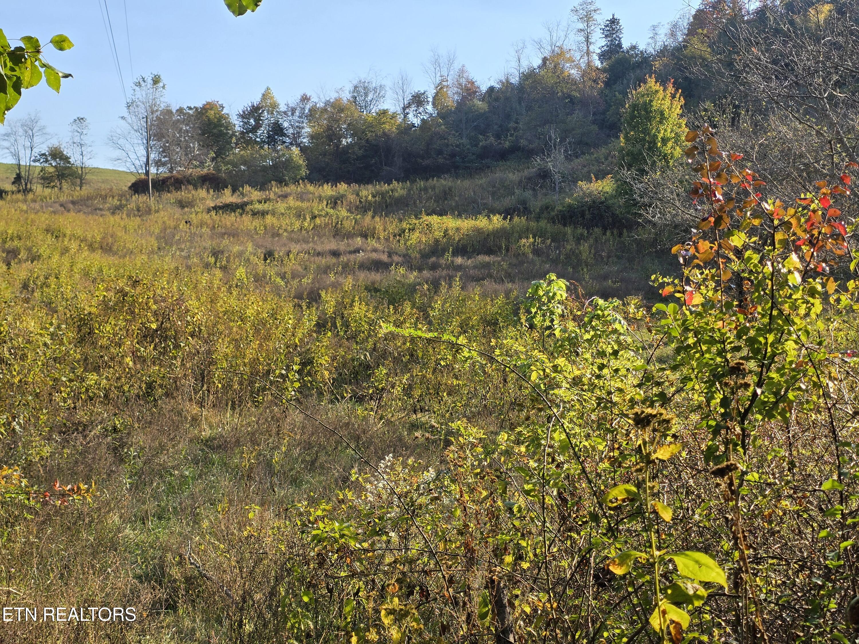 Tbd Copper Ridge Road Eidson TN 37731