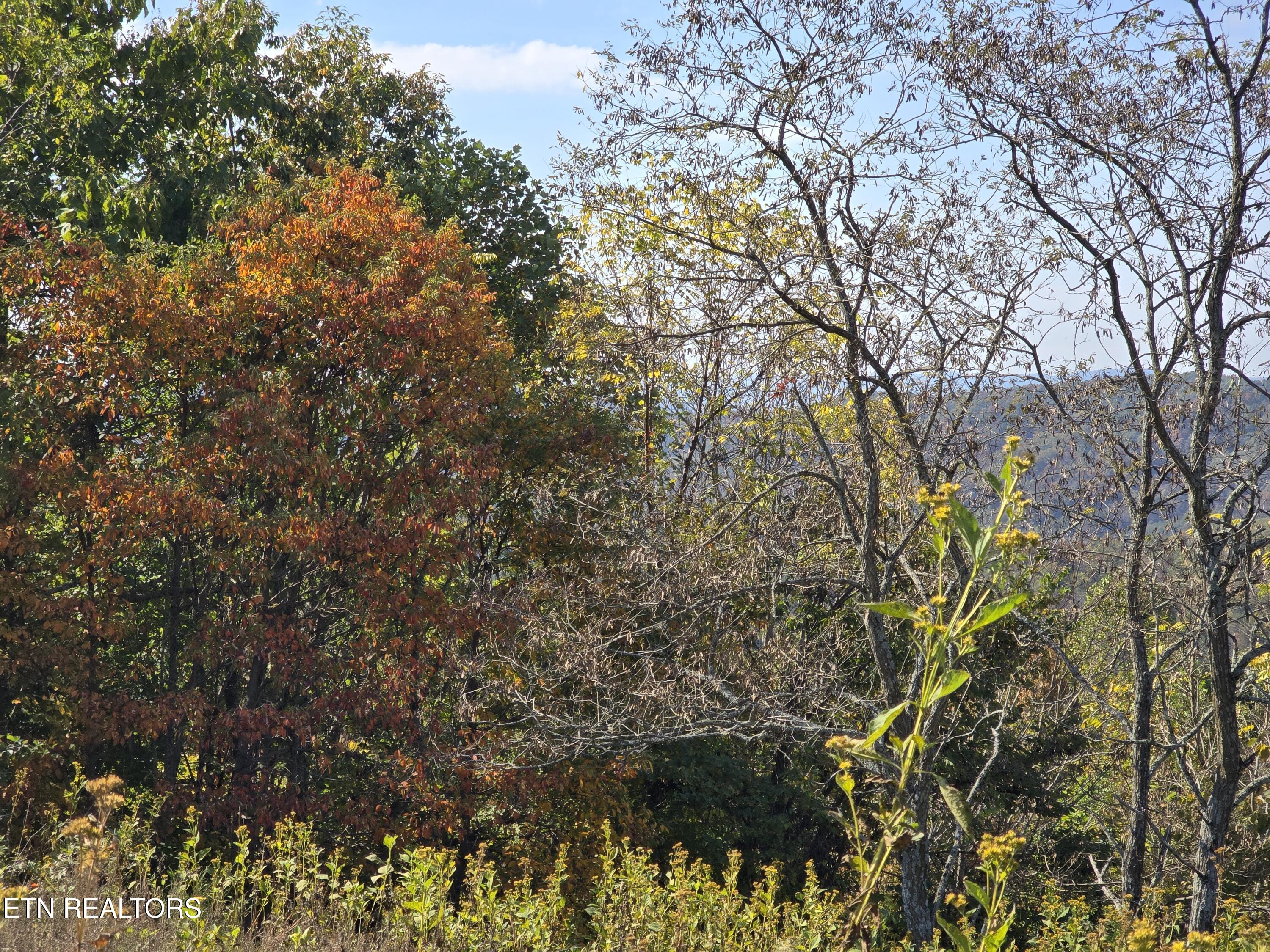 Tbd Copper Ridge Road Eidson TN 37731