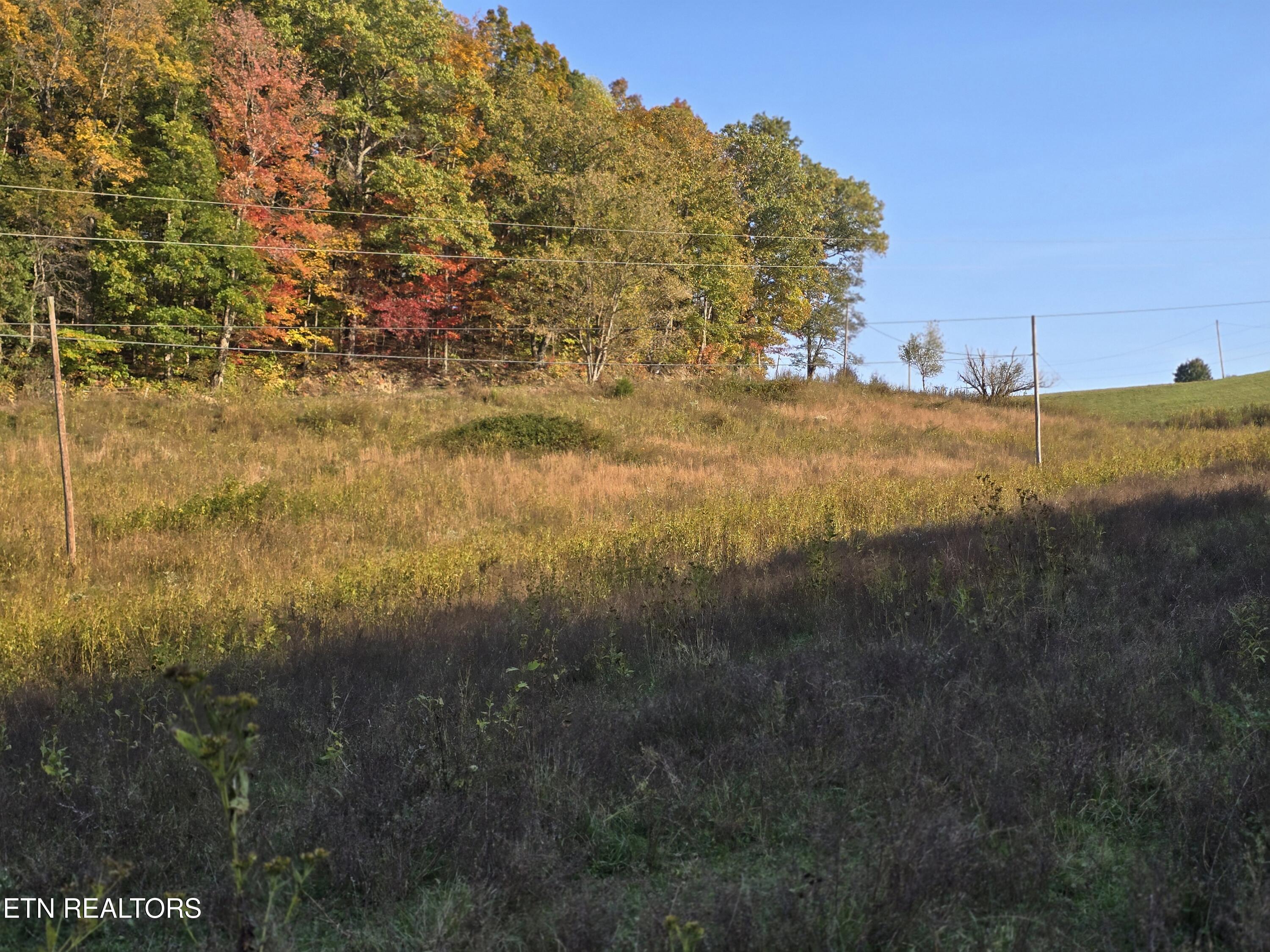 Tbd Copper Ridge Road Eidson TN 37731